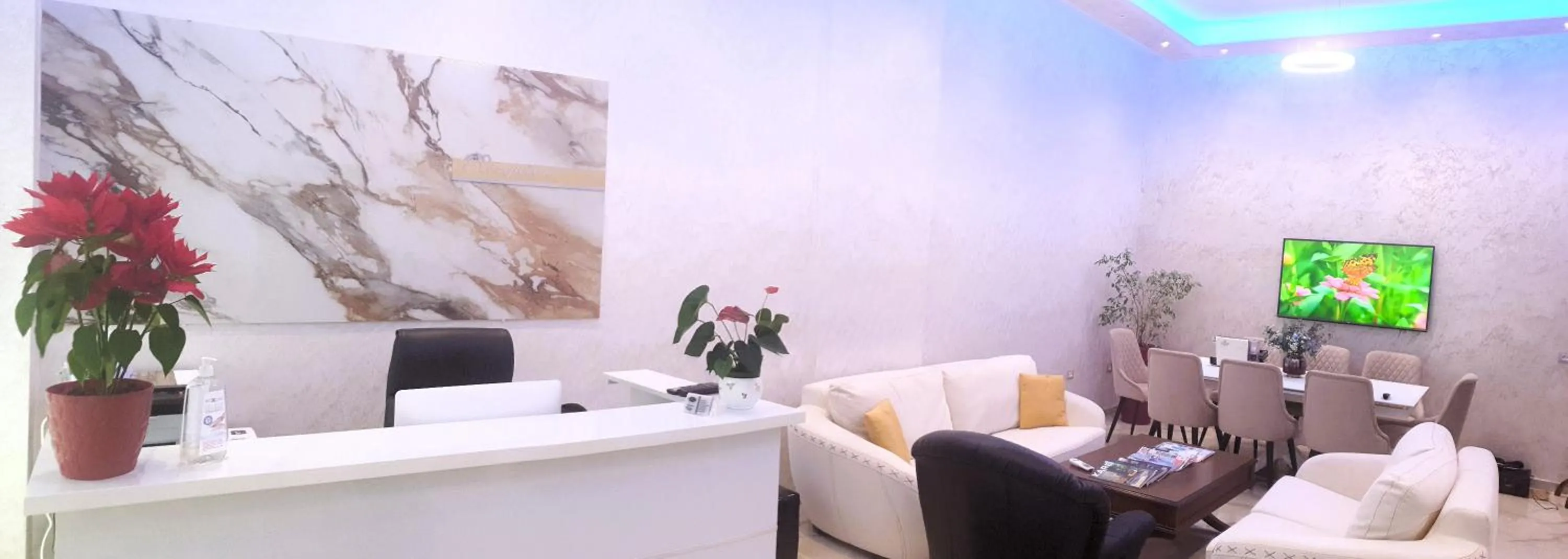 TV and multimedia in Comfort Hotel