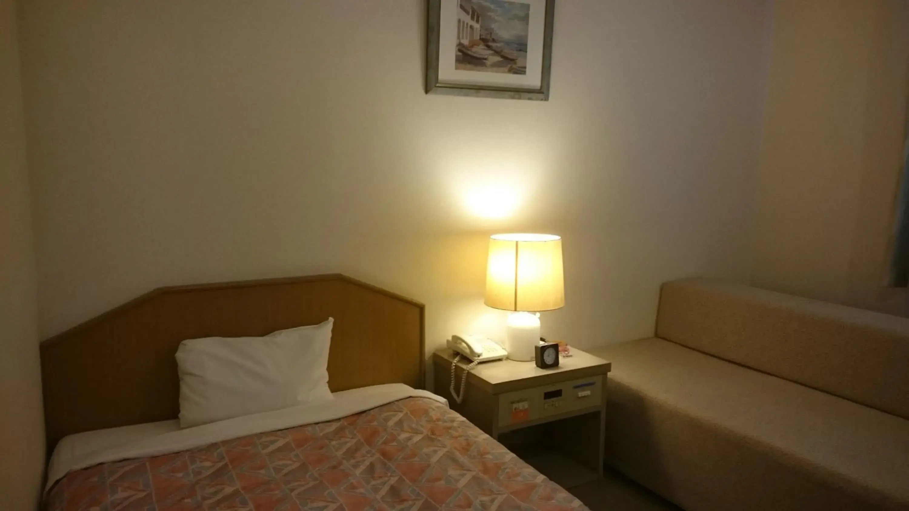 Single Room - Smoking in Hotel Lakeland Hikone Single Room - Smoking in Hotel Lakeland Hikone