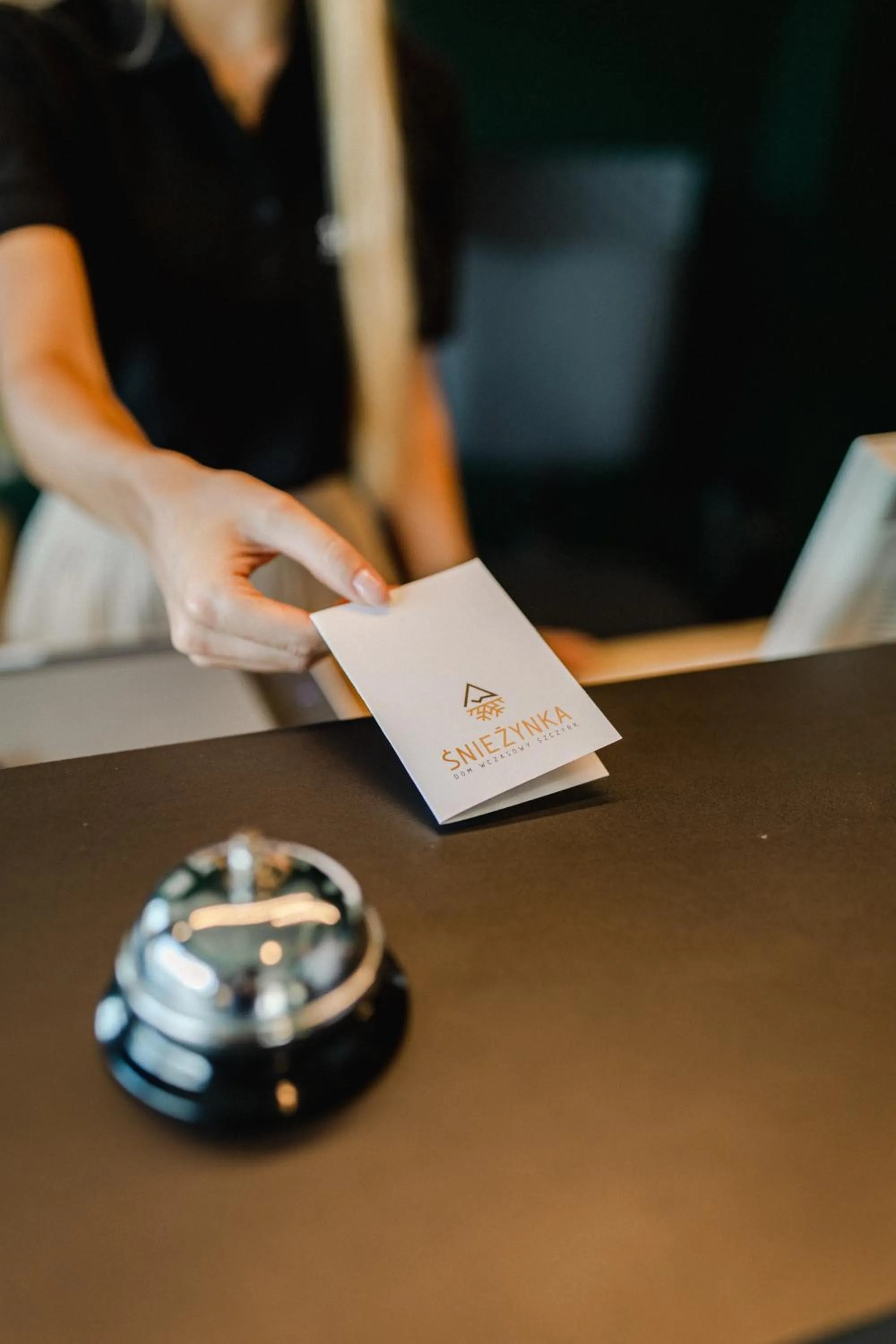 Lobby or reception in Śnieżynka