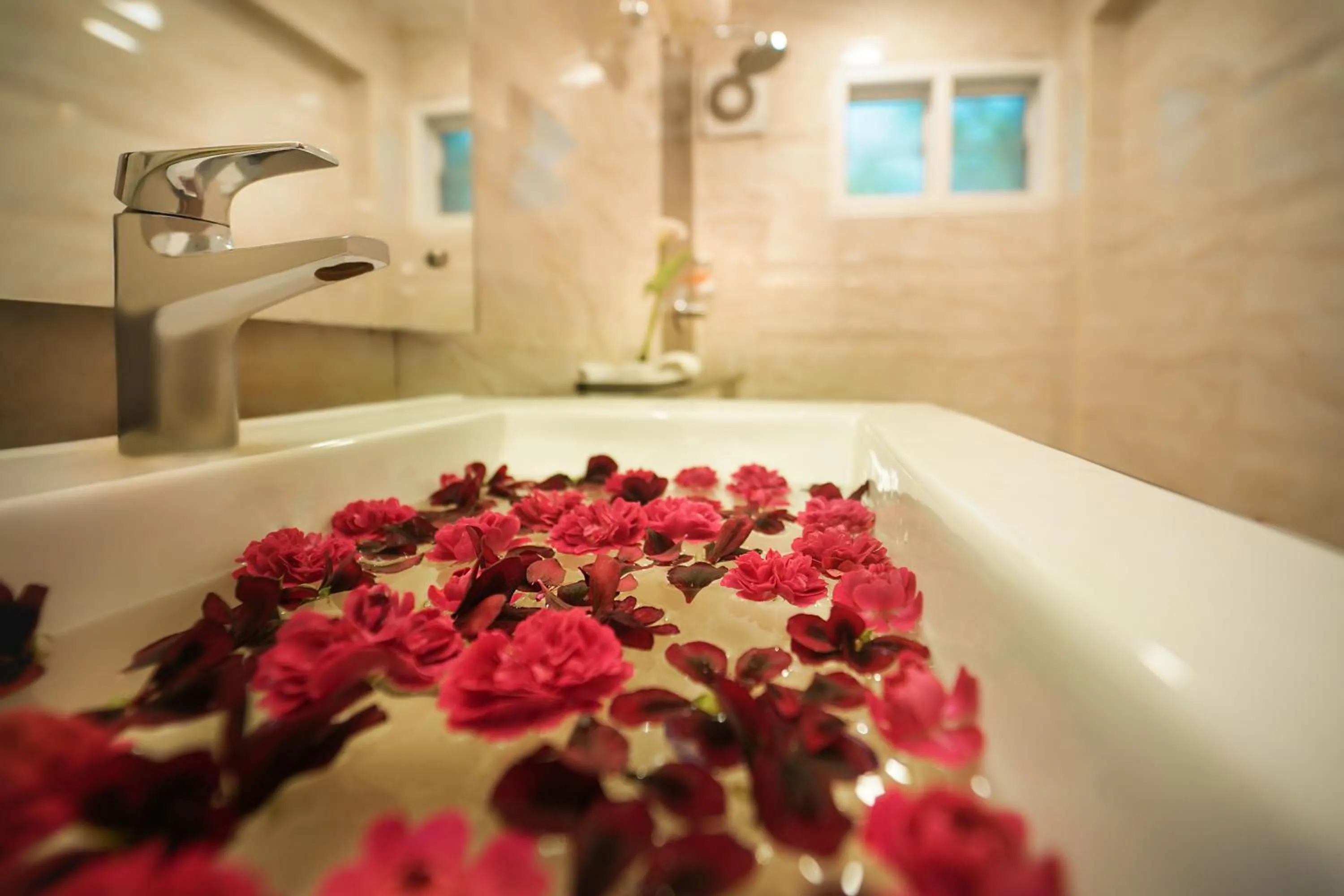 Garden in JC Residency