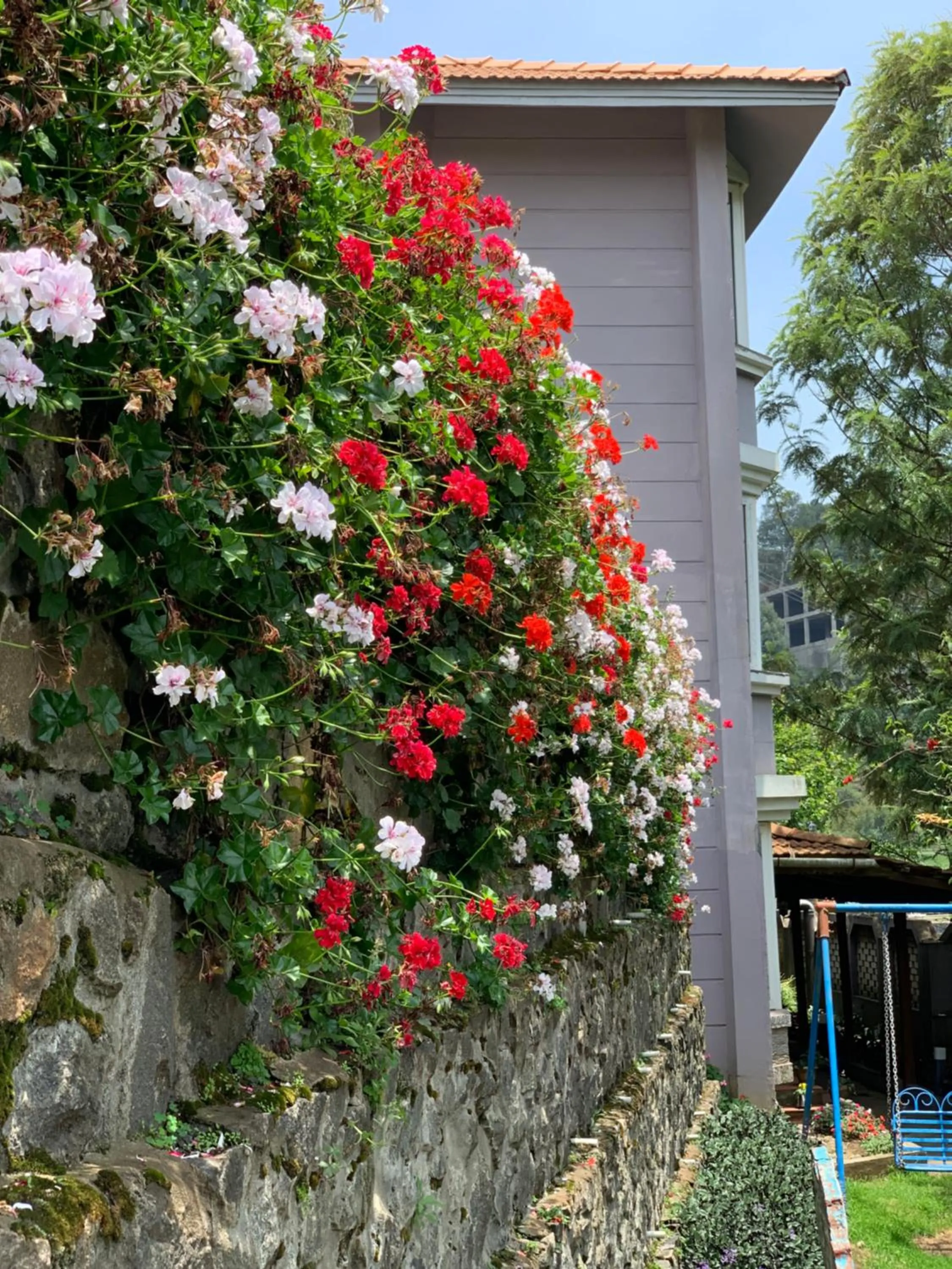 Garden in JC Residency