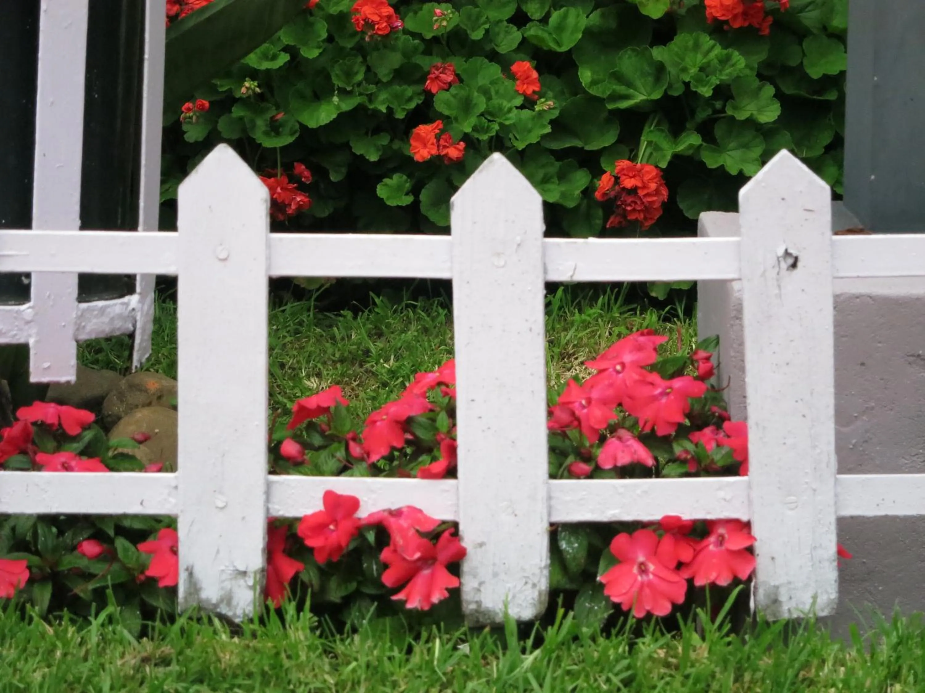 Garden in JC Residency