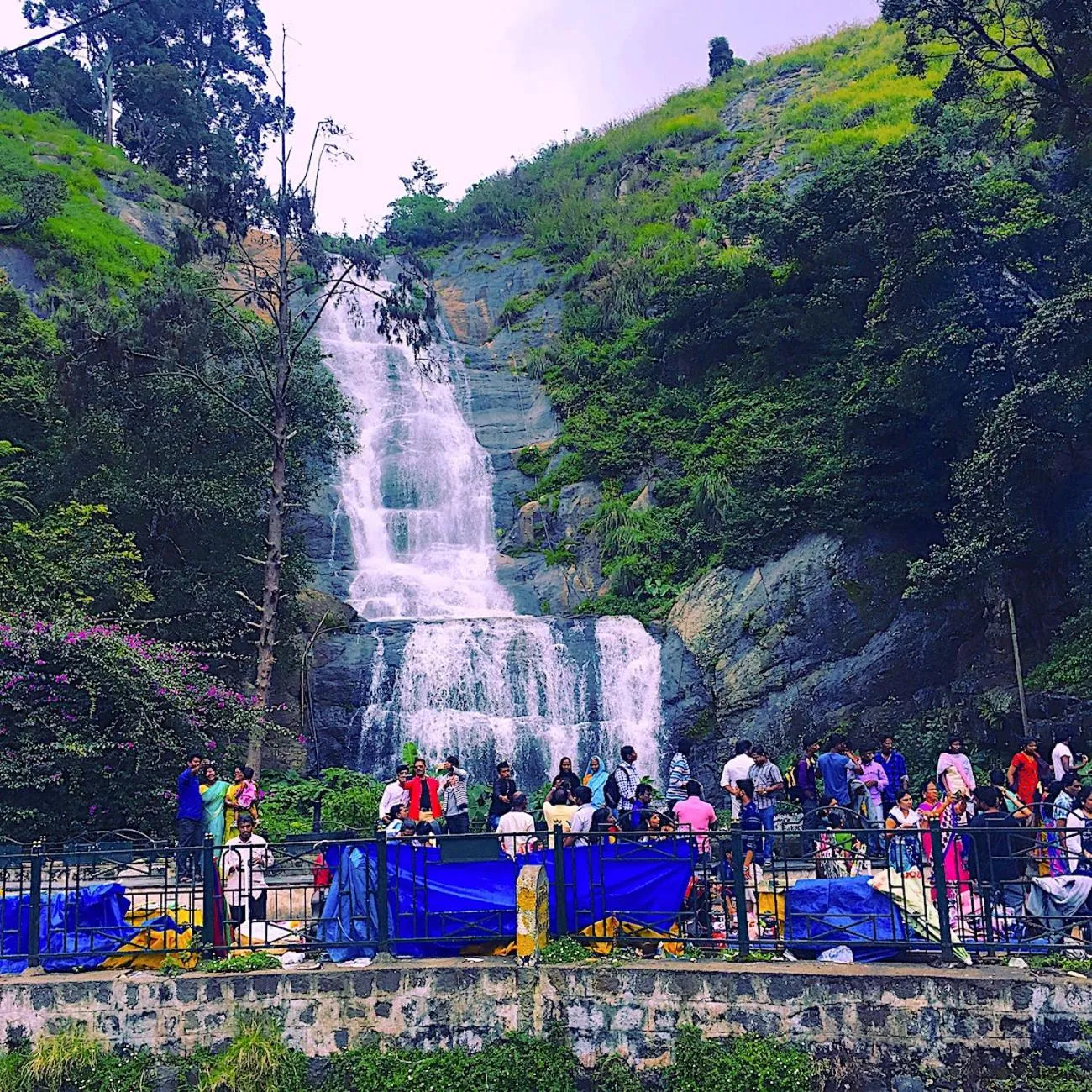 Natural landscape in JC Residency