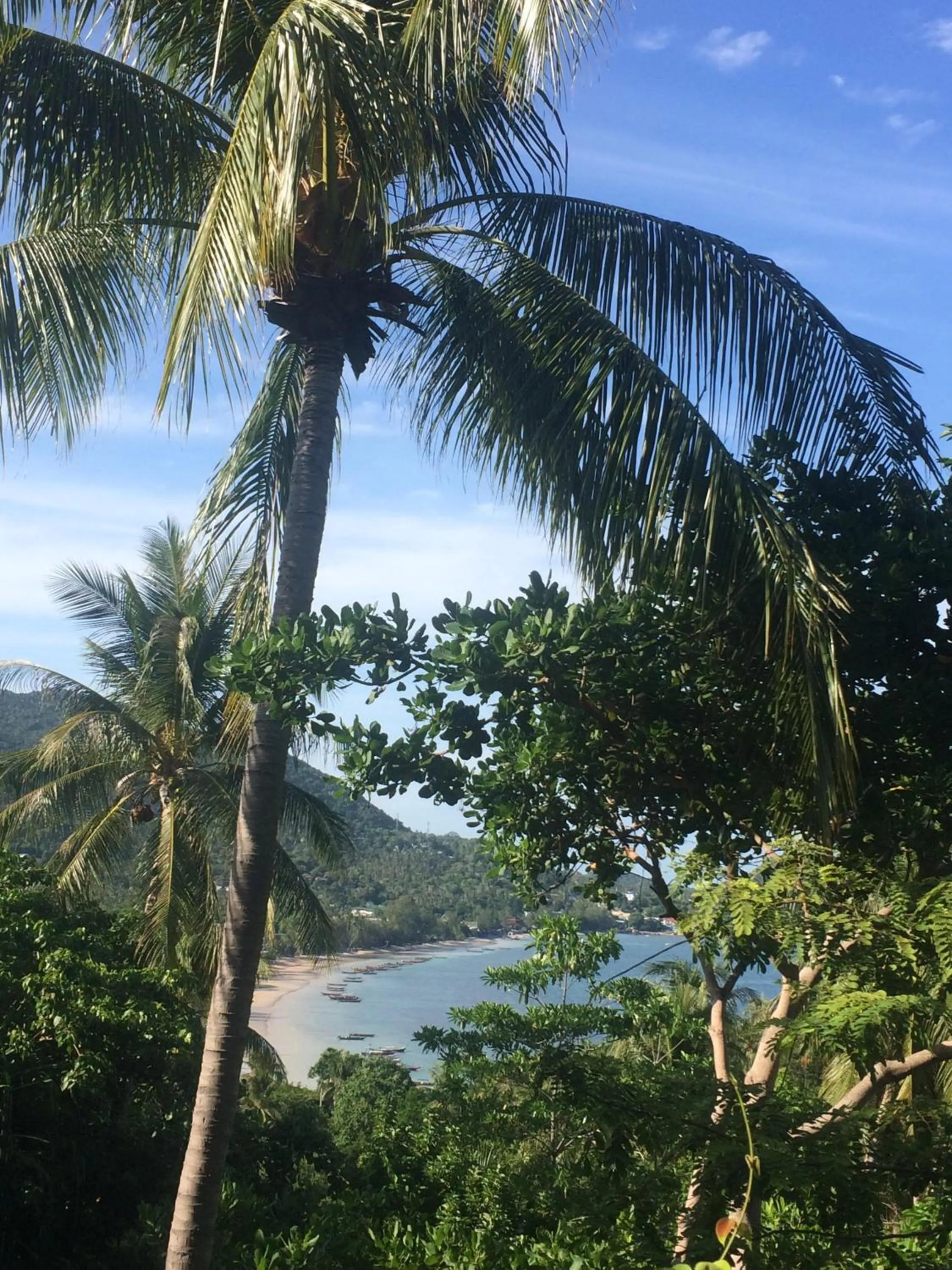 Natural landscape in la Cigale