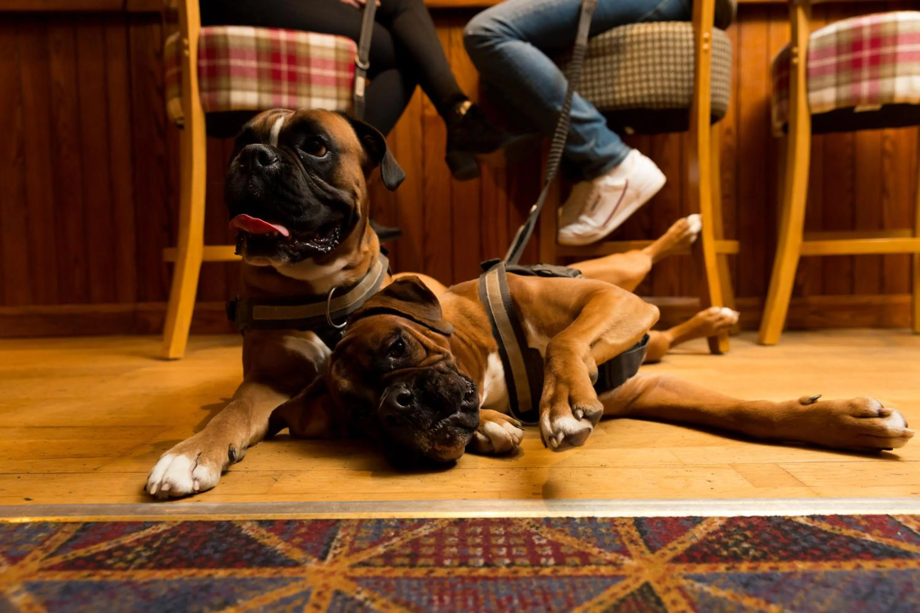 Lounge or bar in Warkworth House Hotel