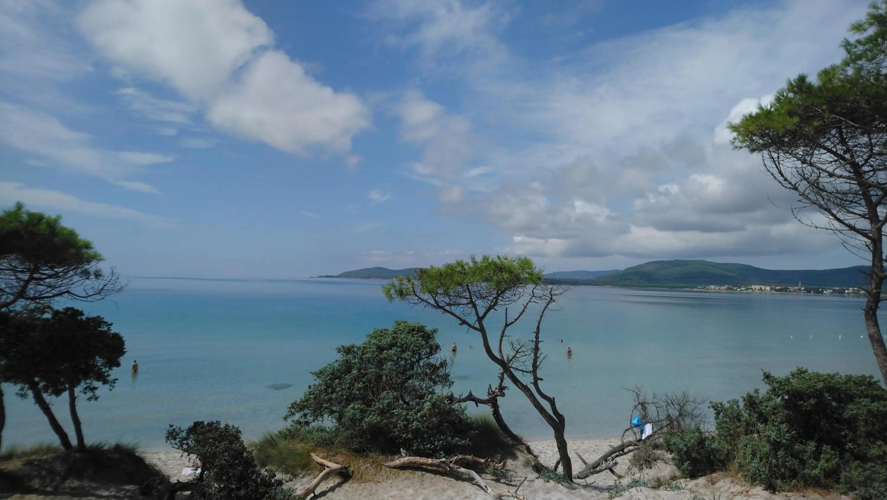 Neighbourhood in B&B Gaudì