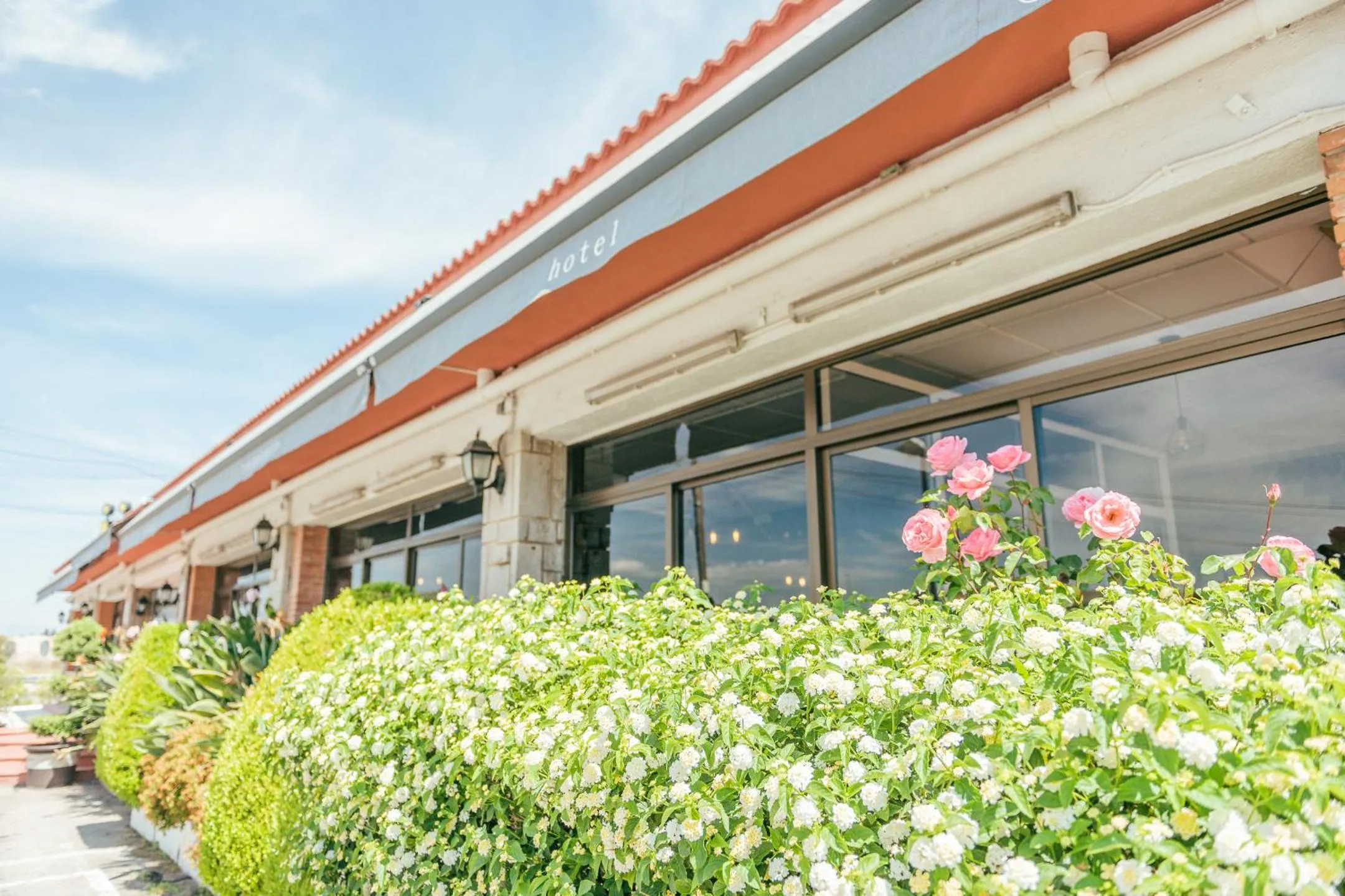 Garden in Hotel Duc de Vendôme