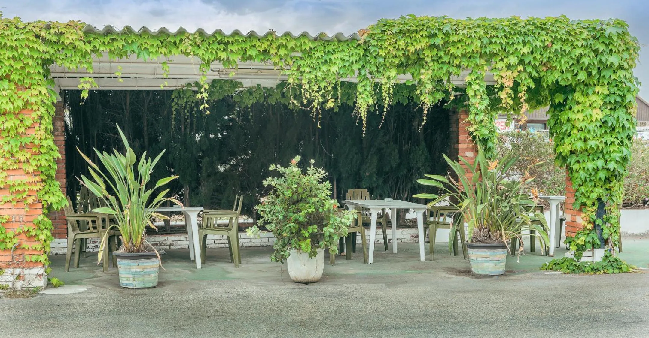Garden in Hotel Duc de Vendôme
