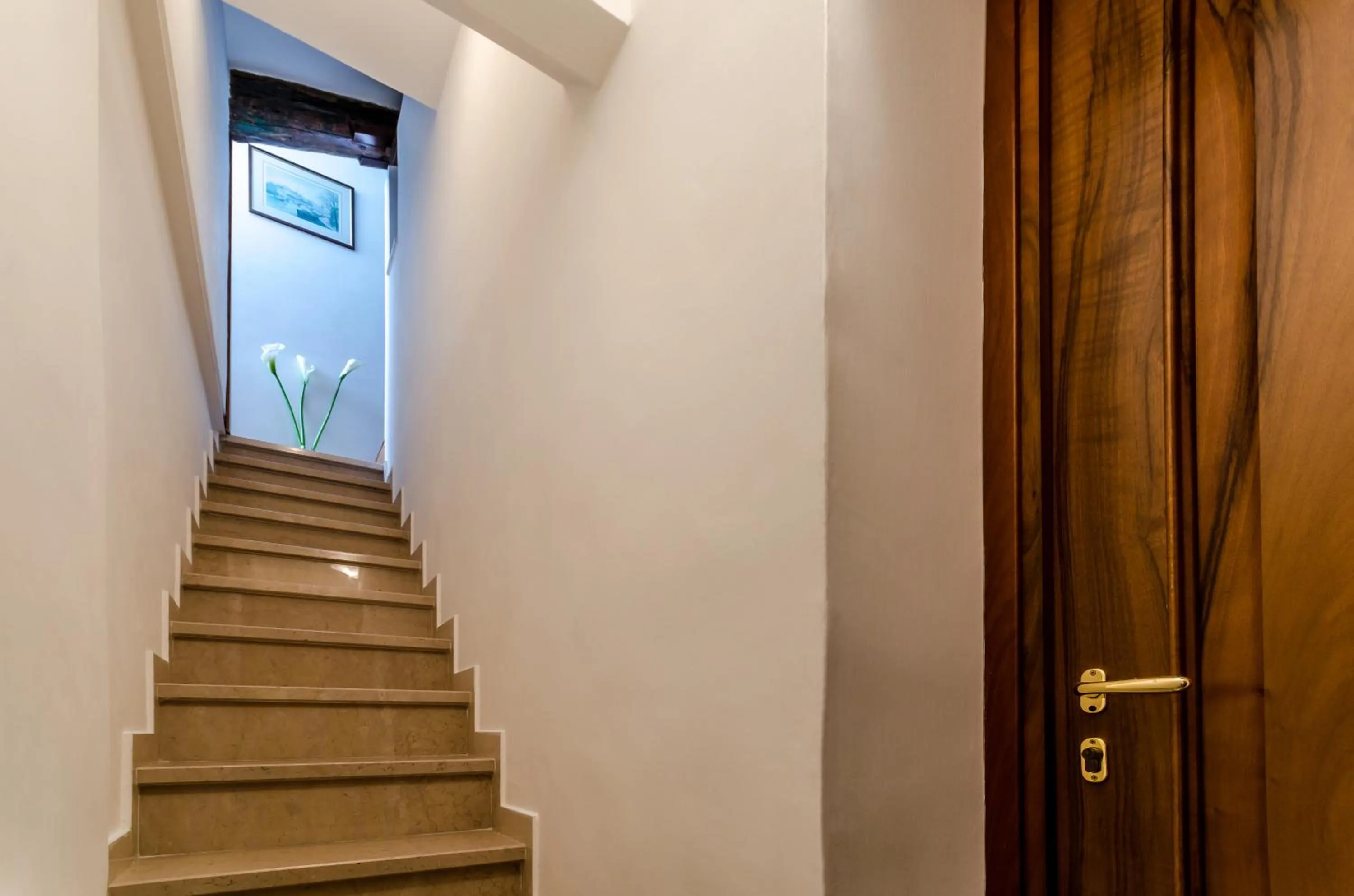 Area and facilities in Venice Apartments