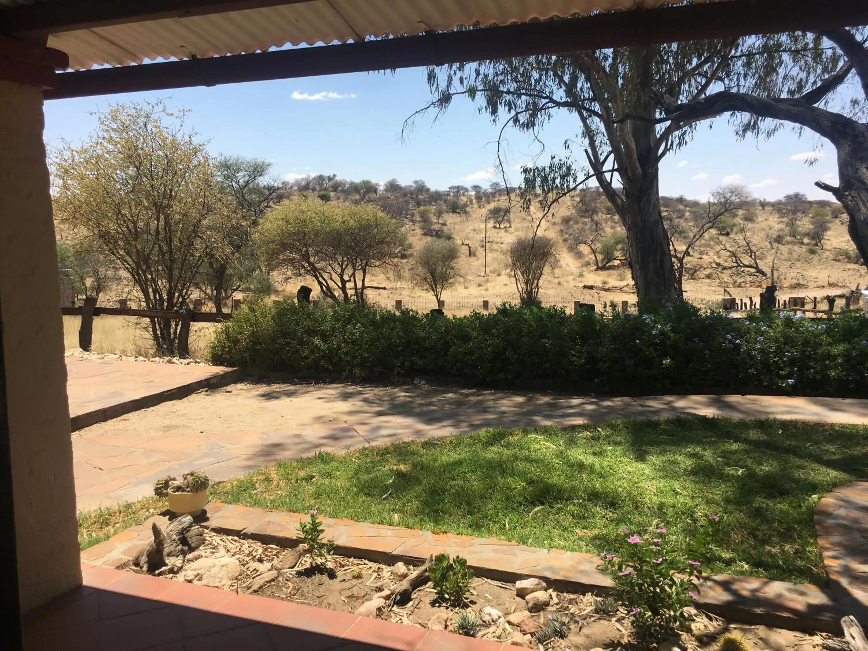 Garden in Düsternbrook Guest Farm