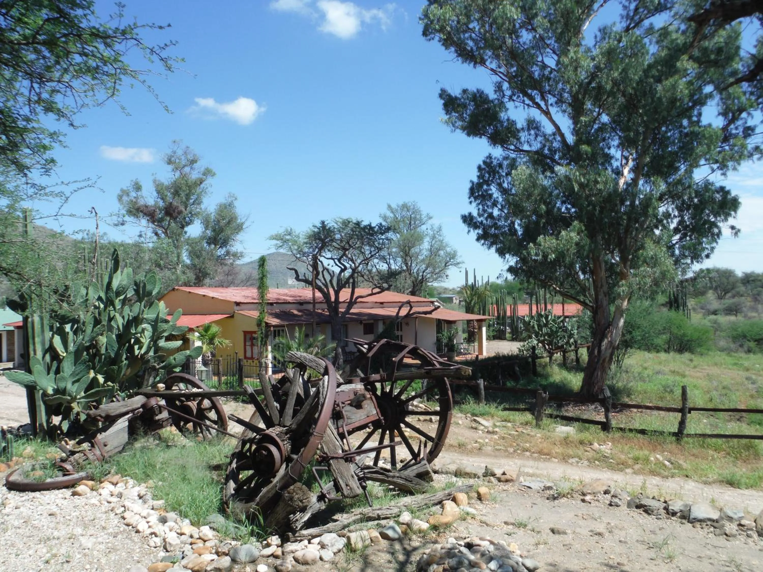 Garden in Düsternbrook Guest Farm