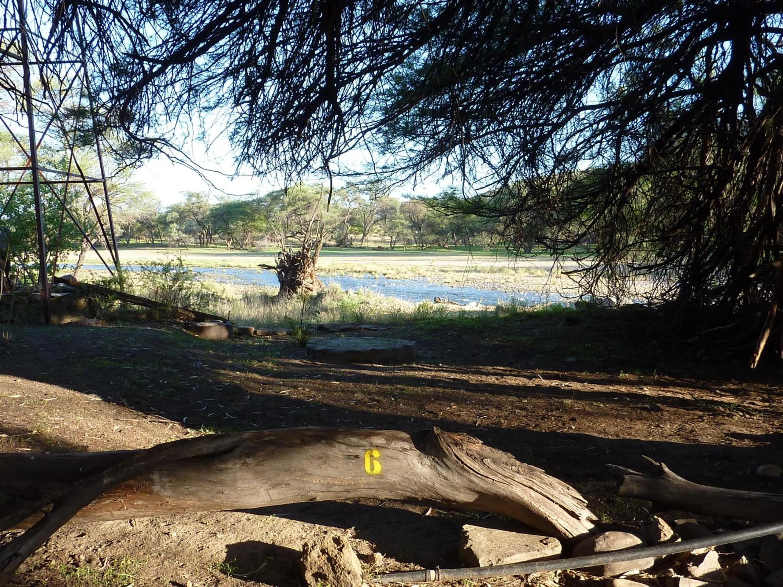 View (from property/room) in Düsternbrook Guest Farm