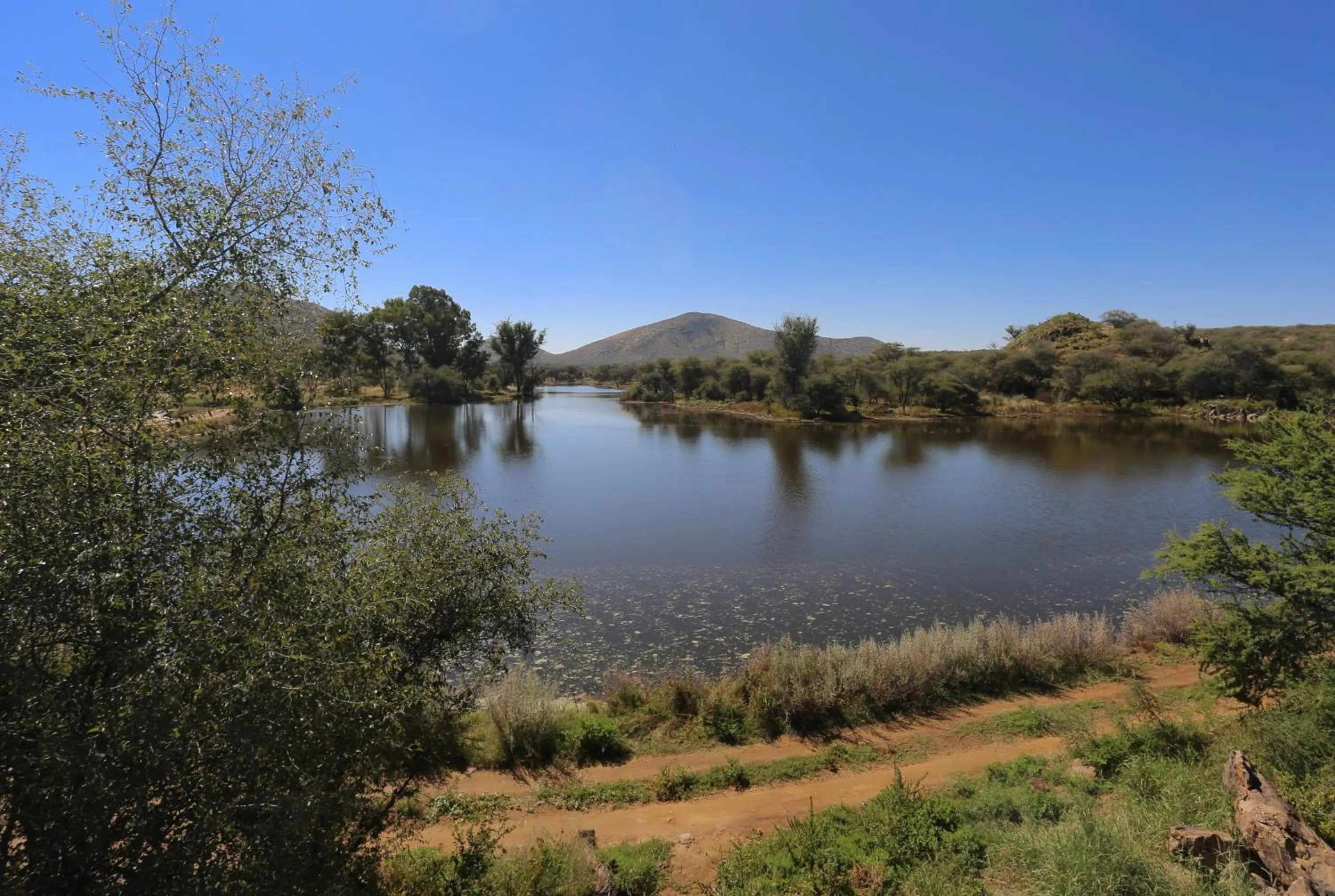 Balcony/Terrace in Düsternbrook Guest Farm