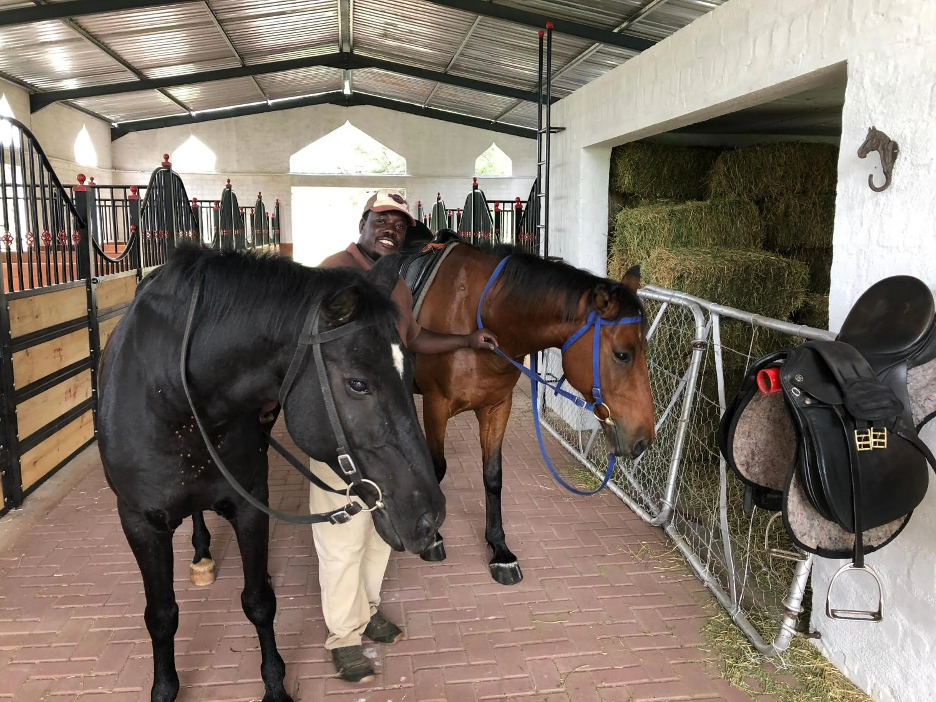 Horse-riding in Düsternbrook Guest Farm