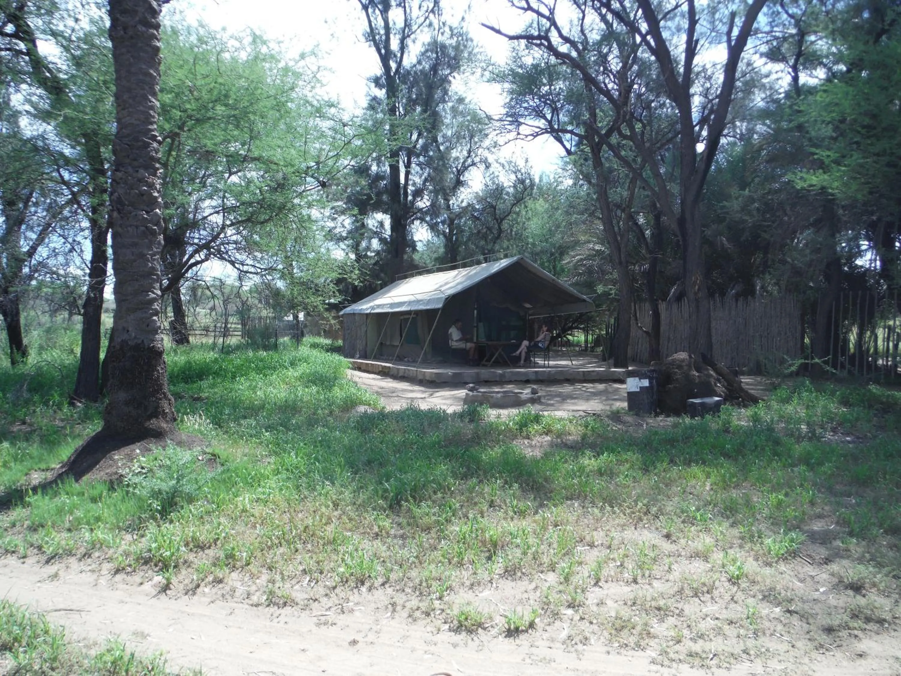 Garden in Düsternbrook Guest Farm
