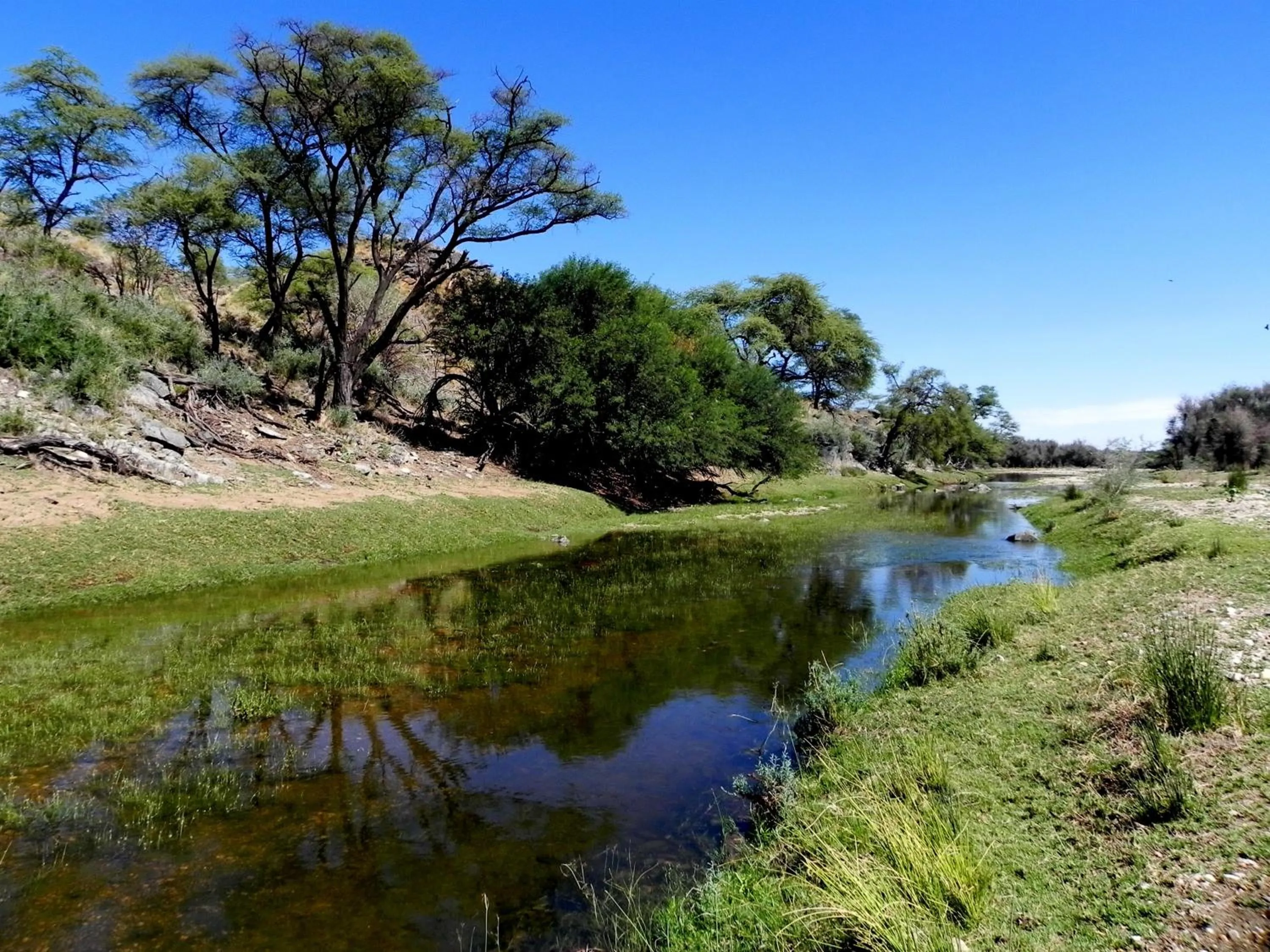 Area and facilities in Düsternbrook Guest Farm