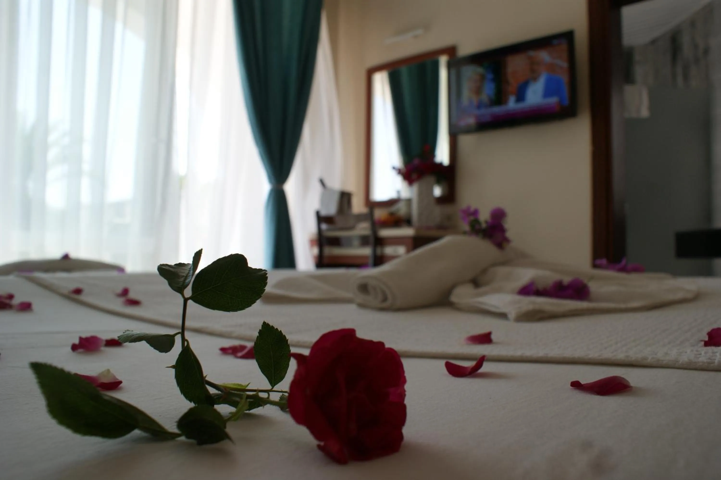 Bedroom, Bed in Kemer Hotel