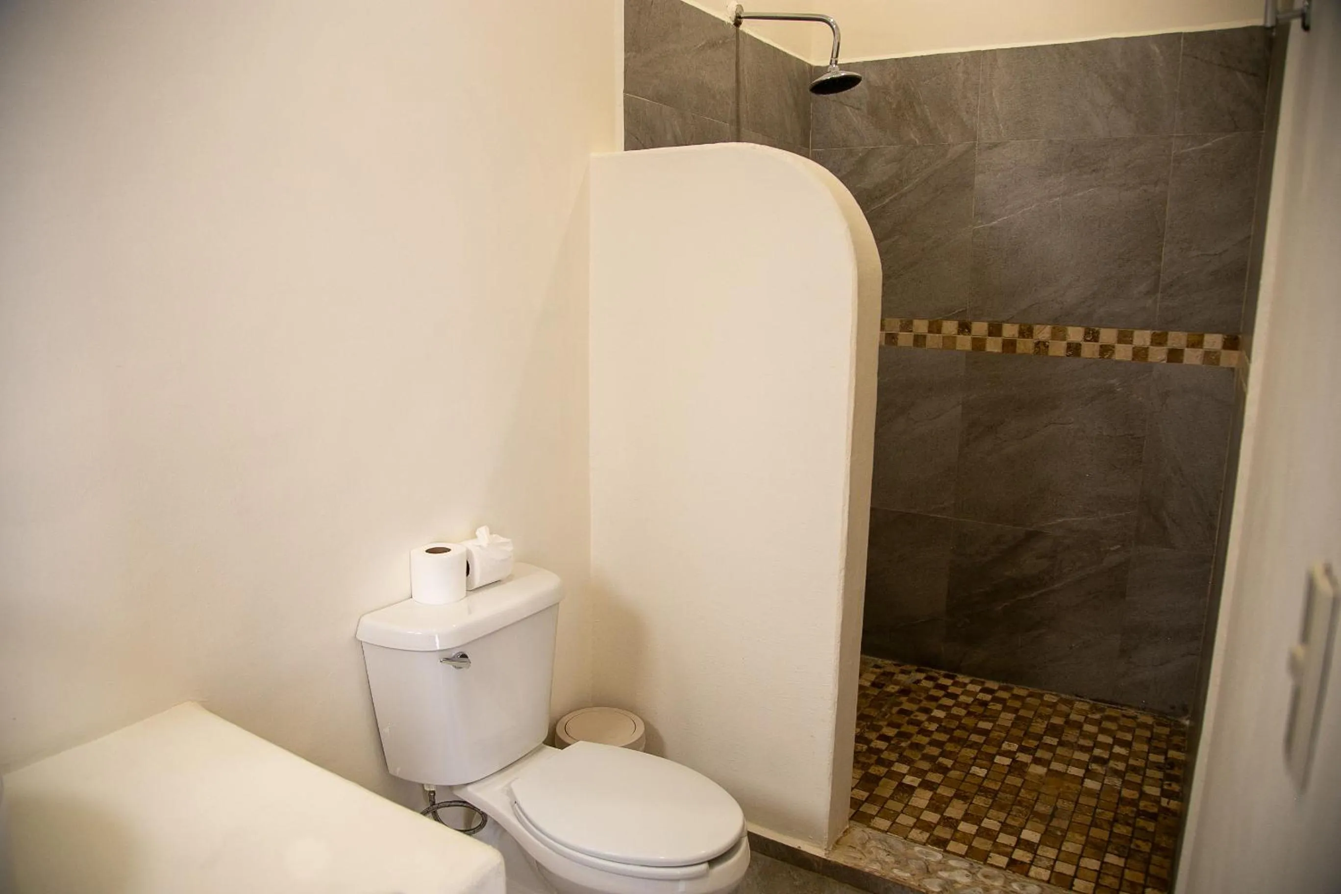 Bathroom in Hotel Villa Balu