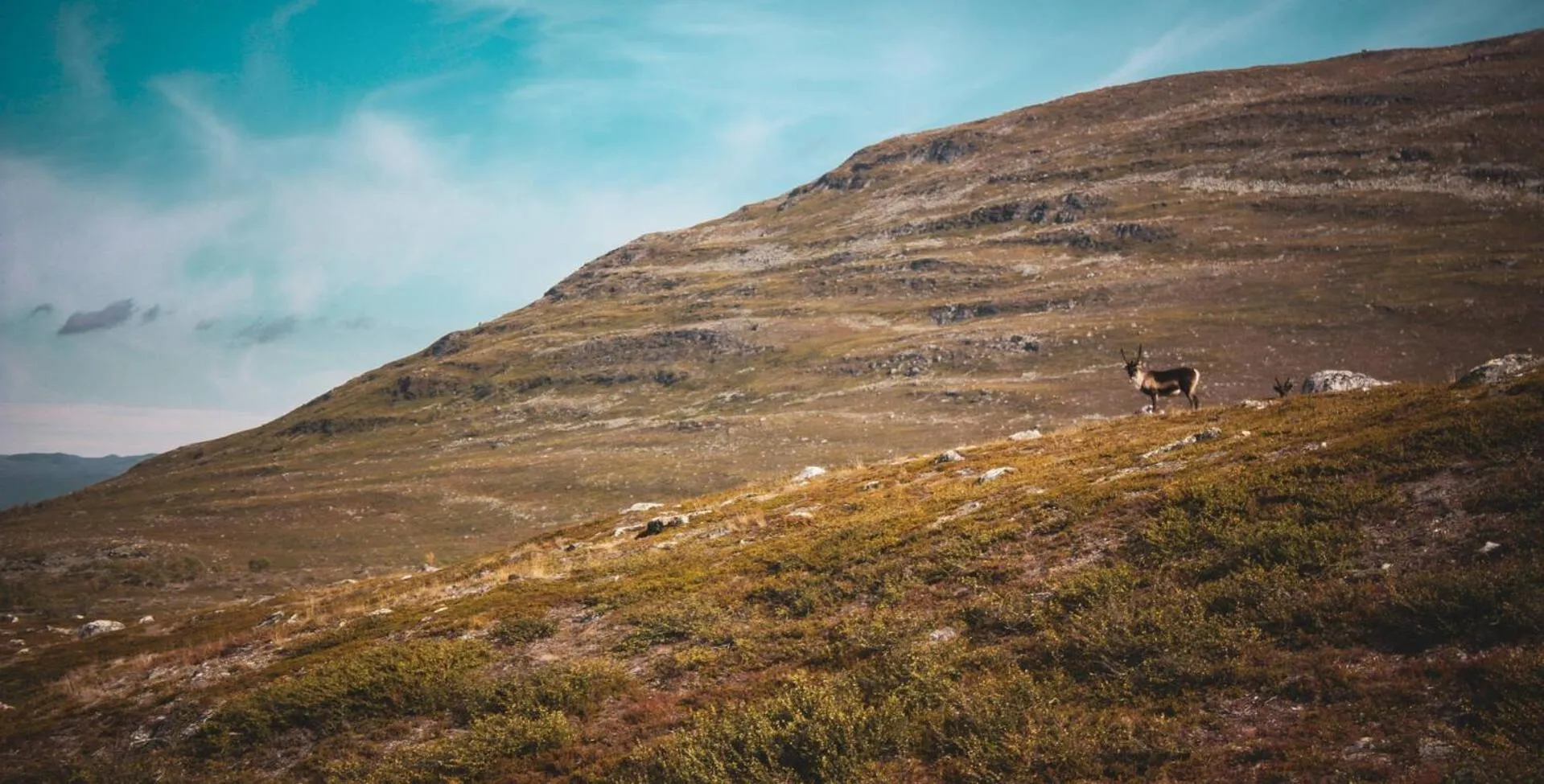 Nearby landmark in Lapland Hotels Kilpis