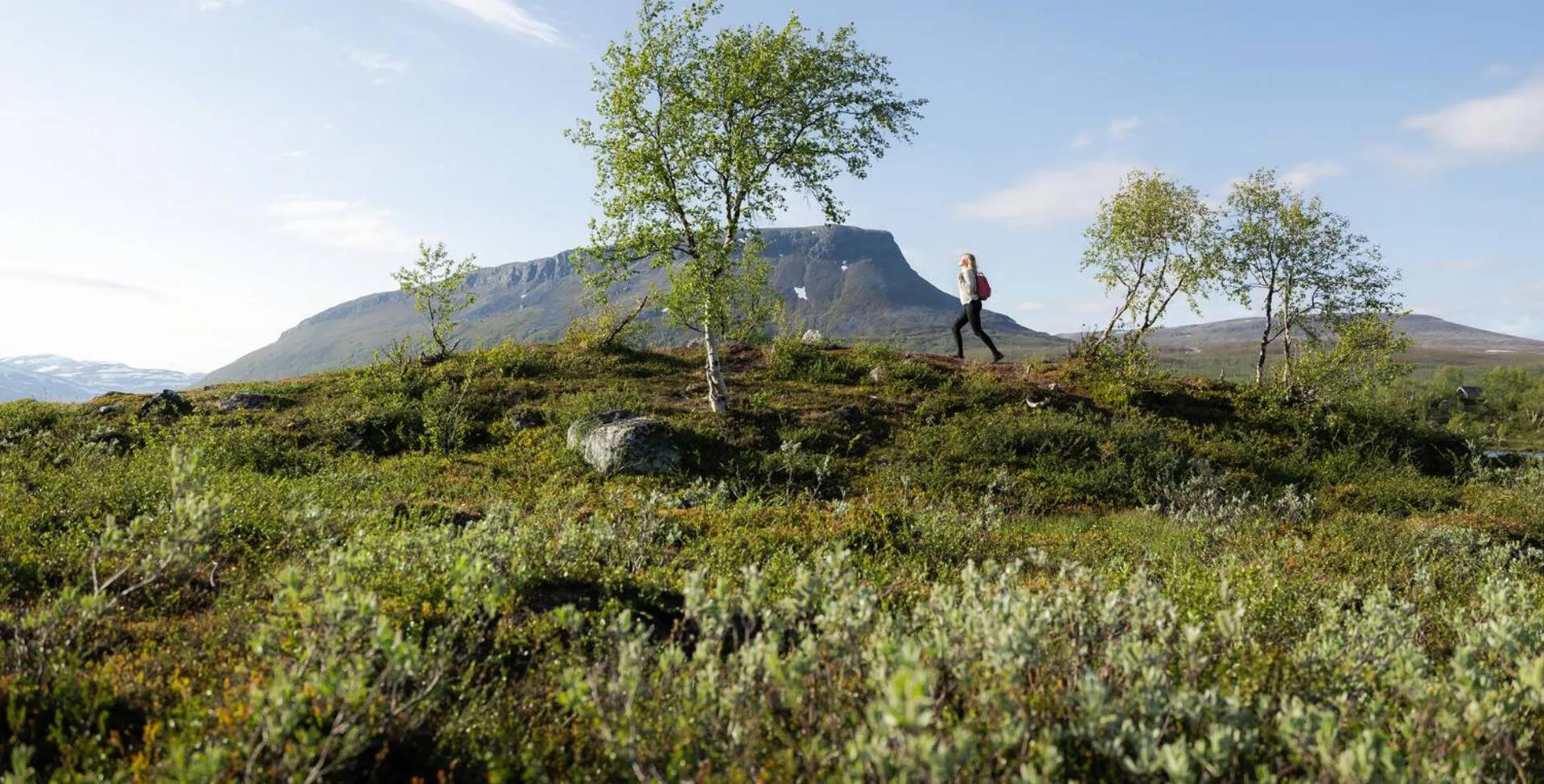 Natural landscape in Lapland Hotels Kilpis