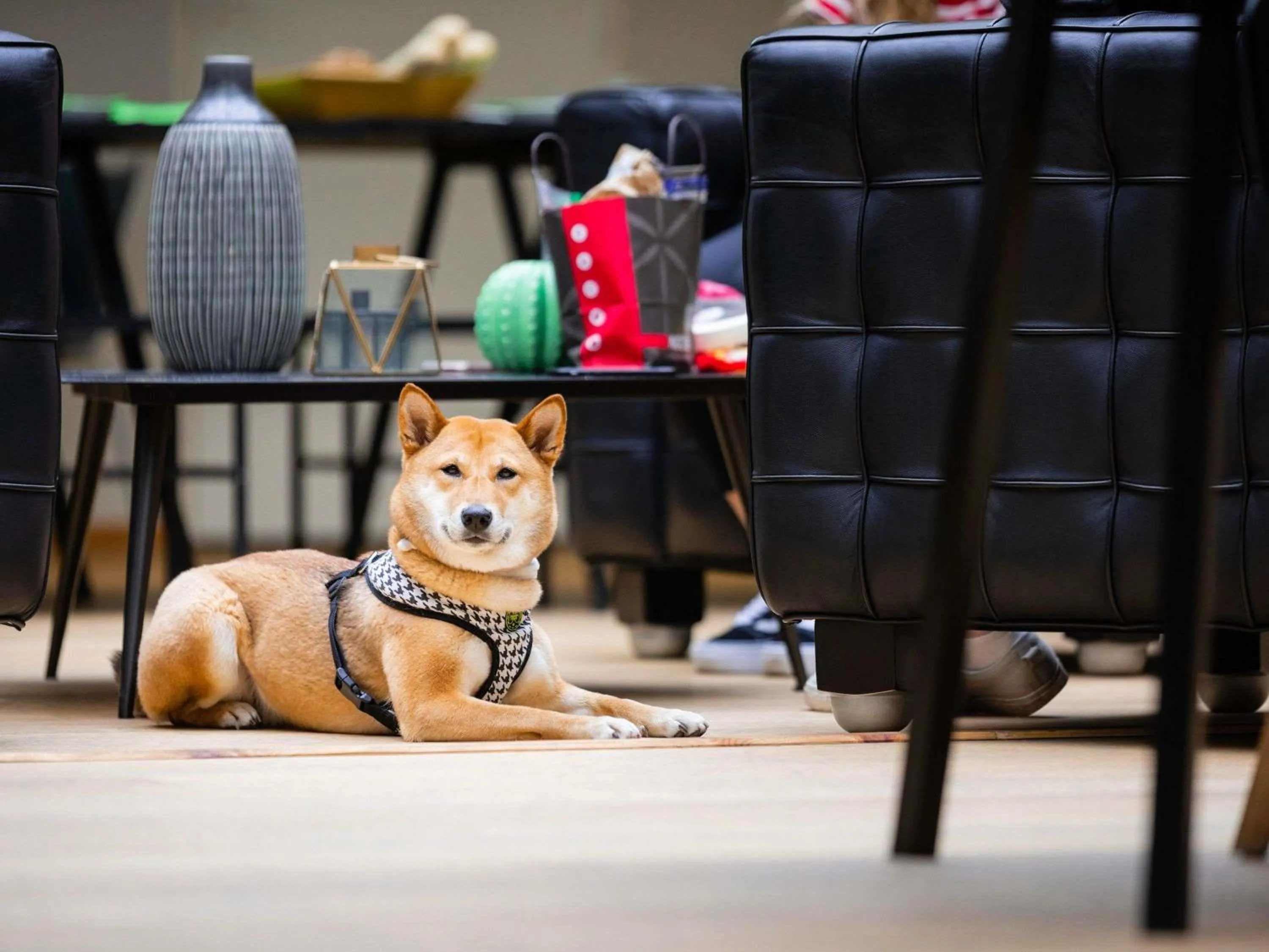 Other in ibis Styles Calais Centre