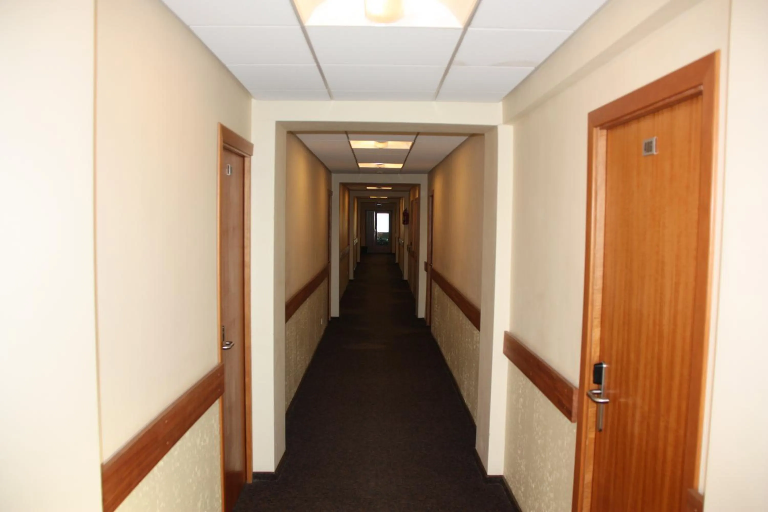 Decorative detail in Hotel Madona