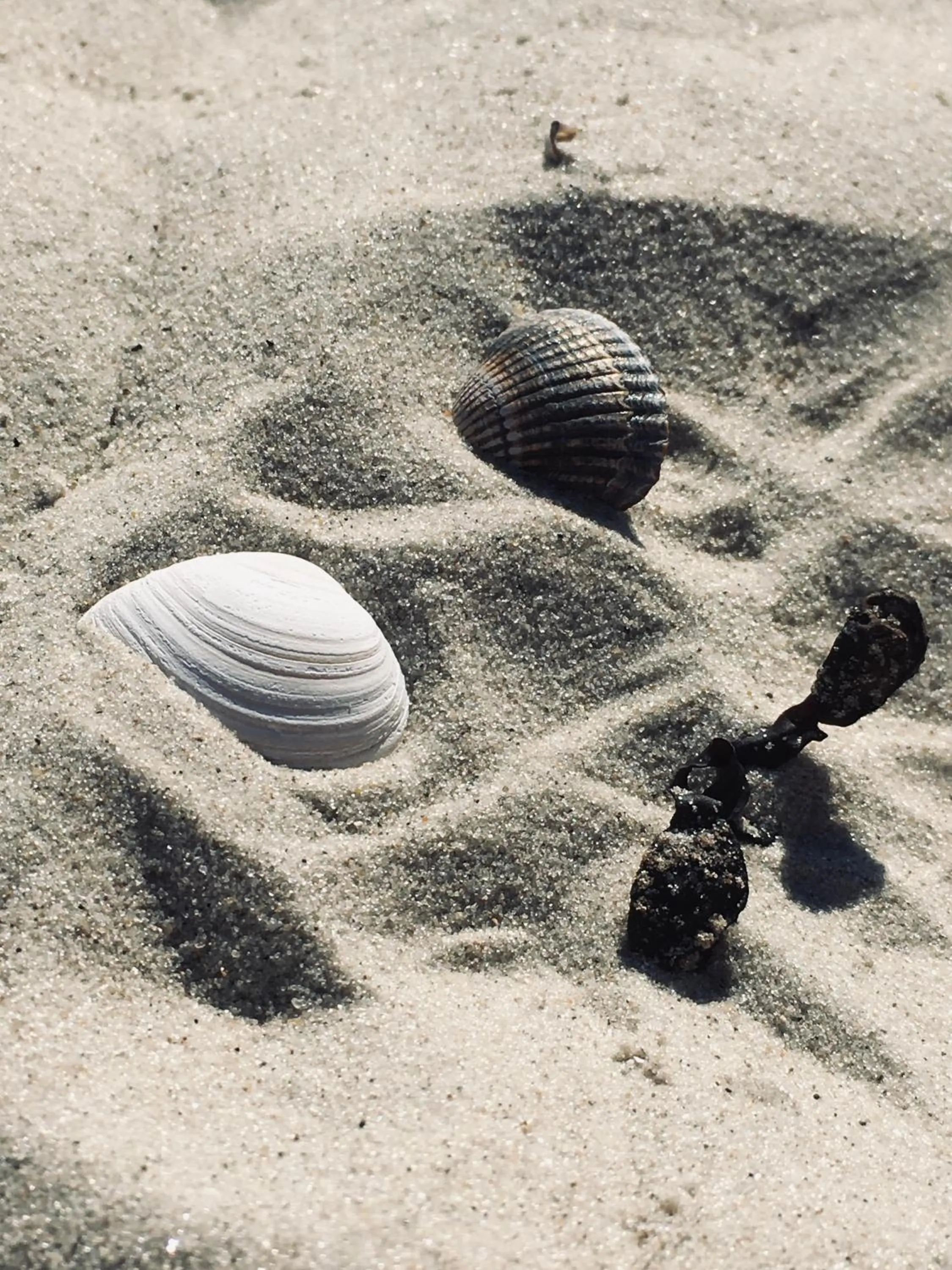 Beach in Hotel TWEED