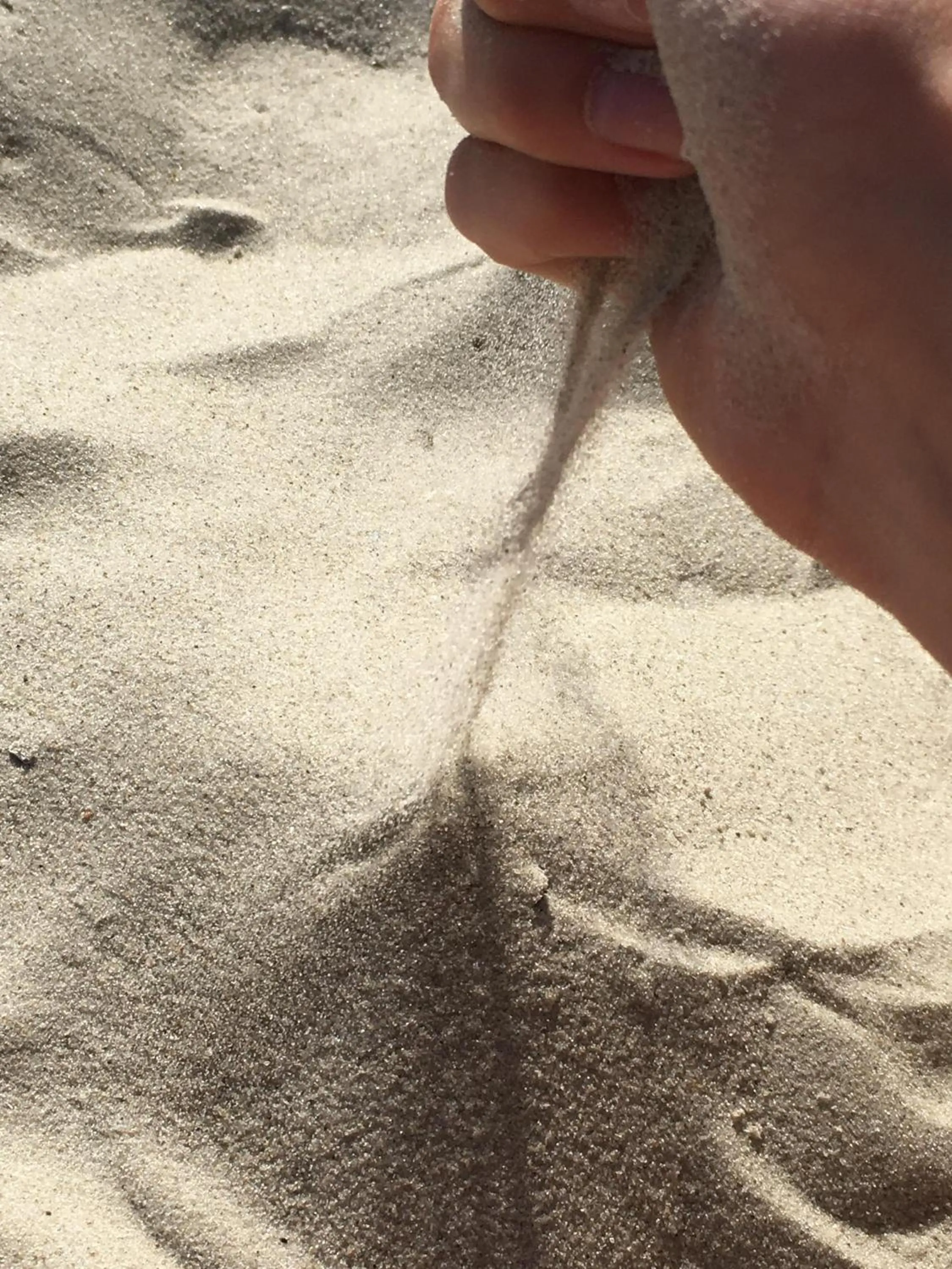 Beach in Hotel TWEED