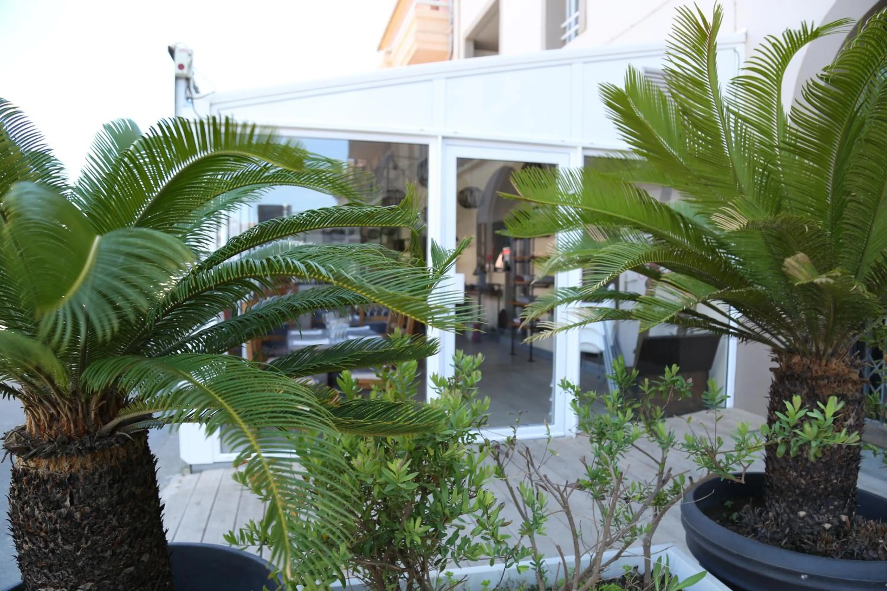 Restaurant/places to eat in Résidence Moderne