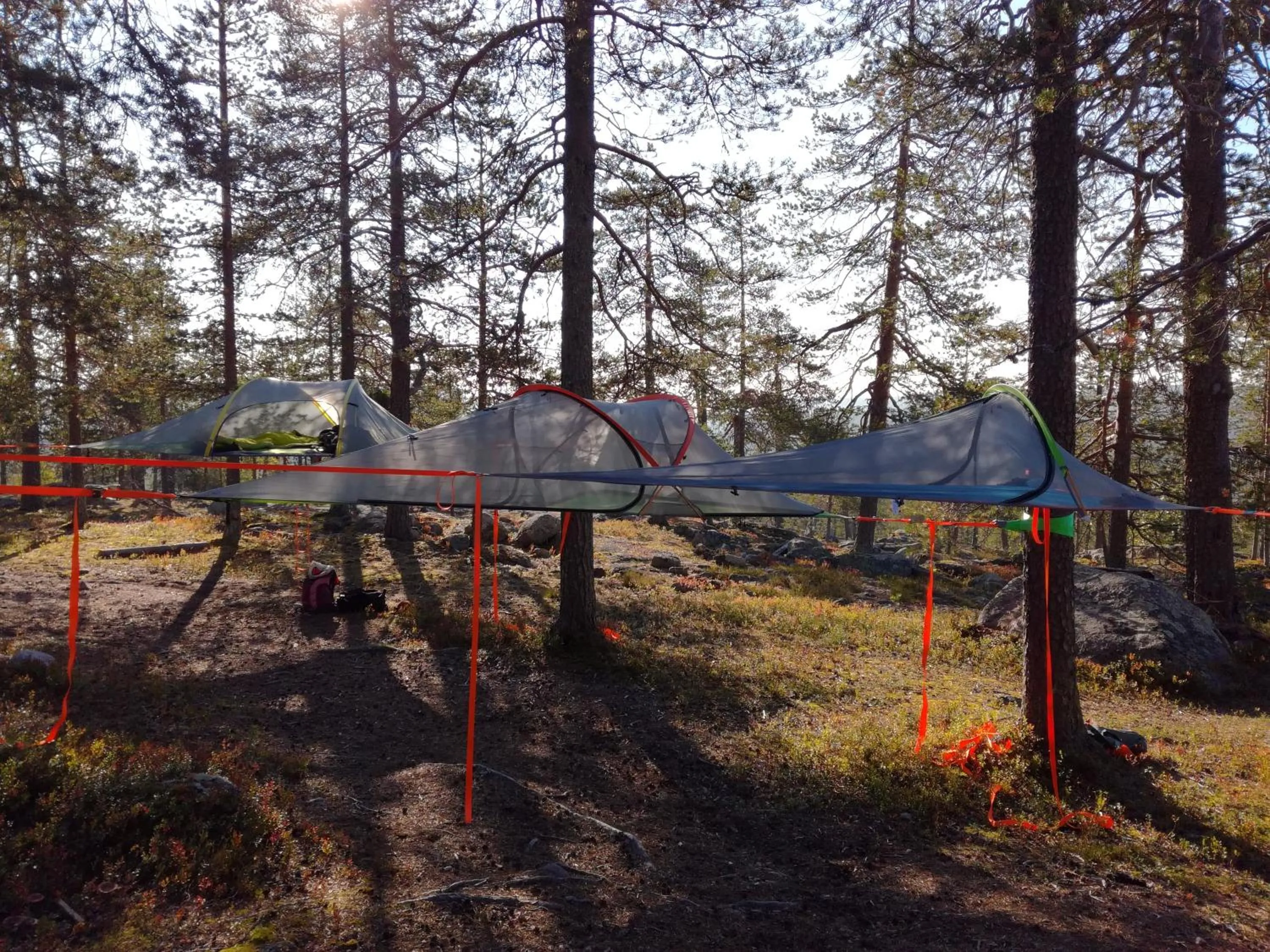 Activities in Lapland Hotels Riekonlinna