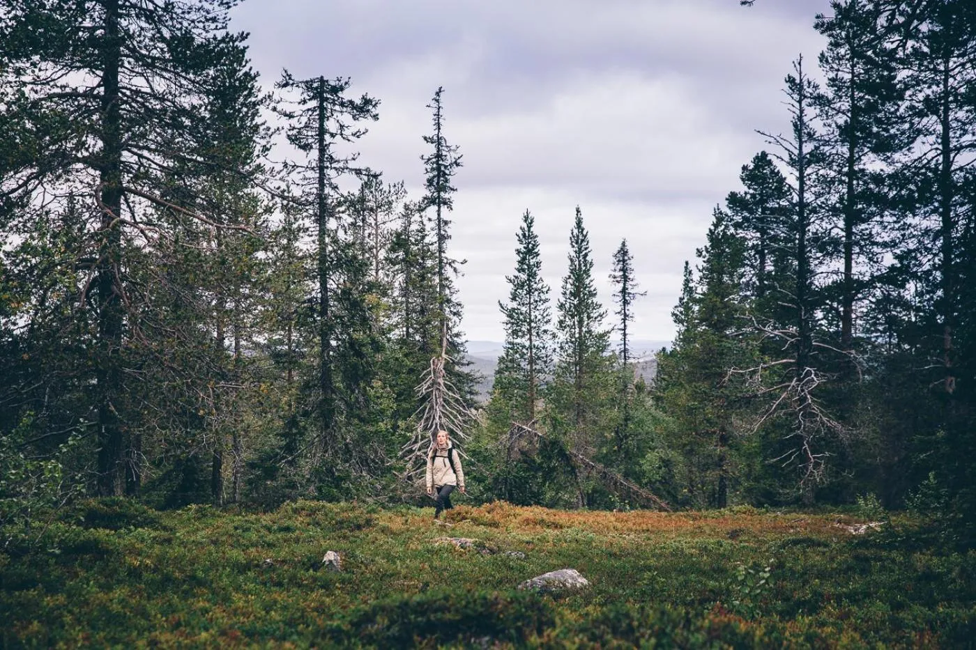 Hiking in Lapland Hotels Riekonlinna