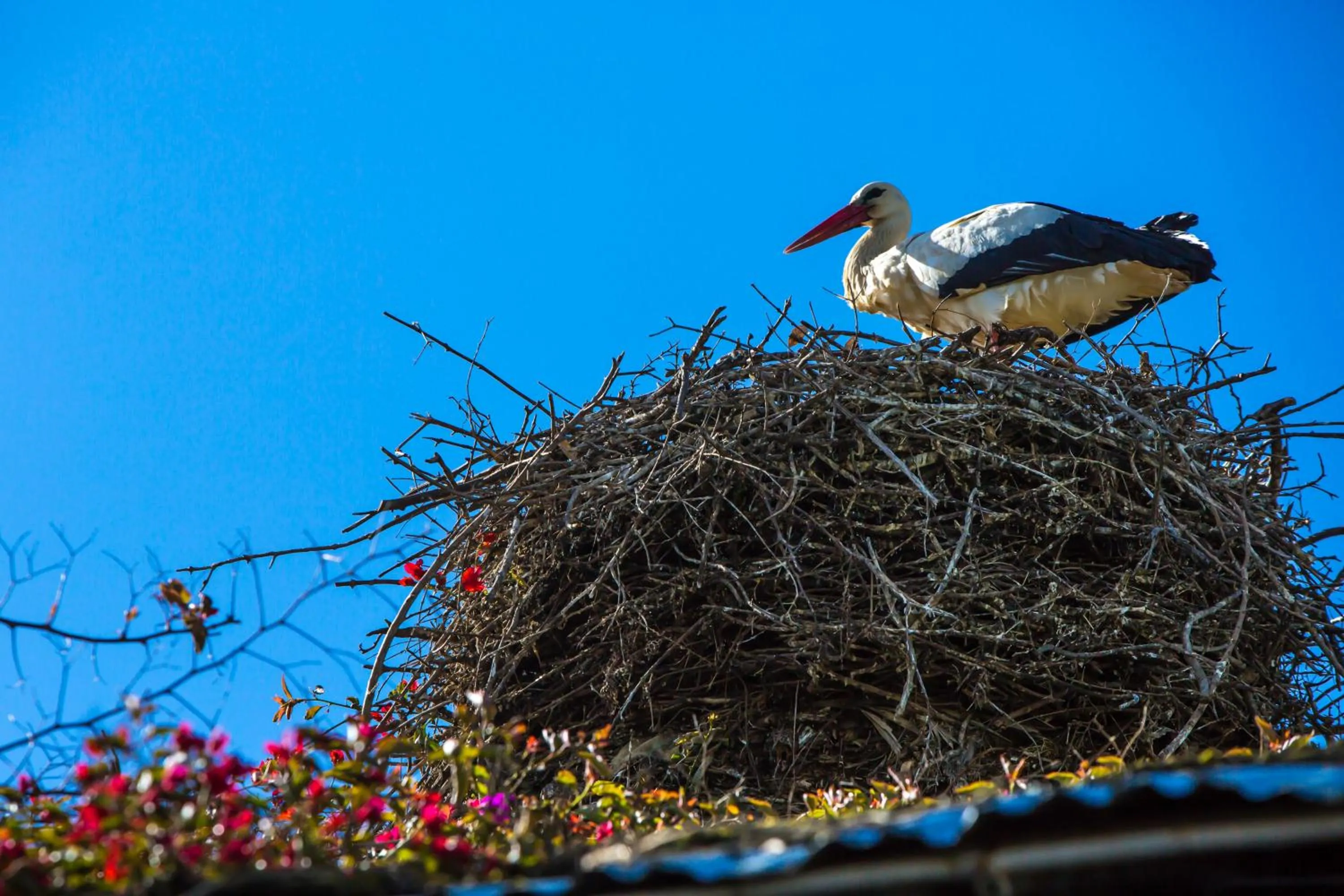 View (from property/room) in Maison d'hotes Berbari