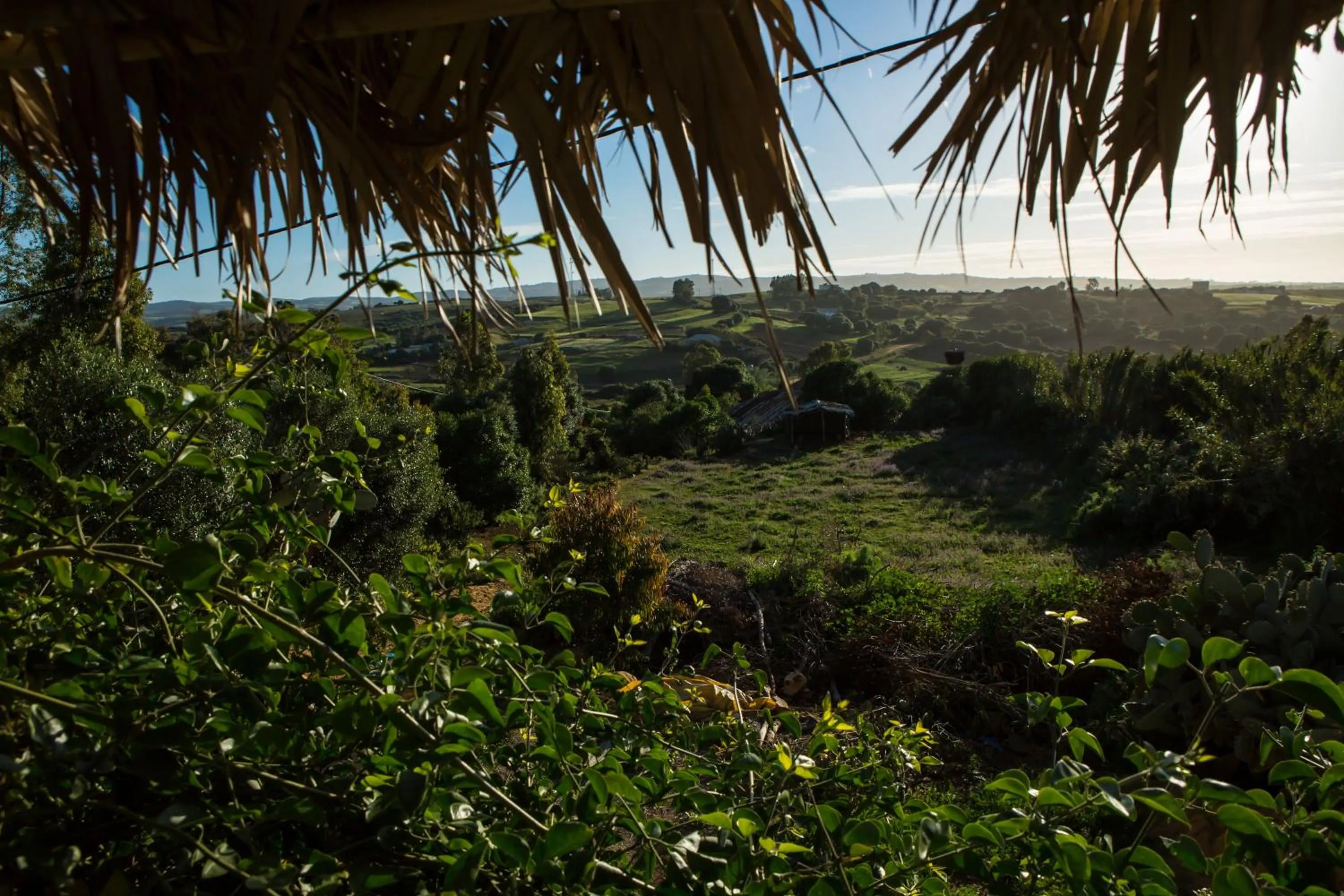 Garden view in Maison d'hotes Berbari
