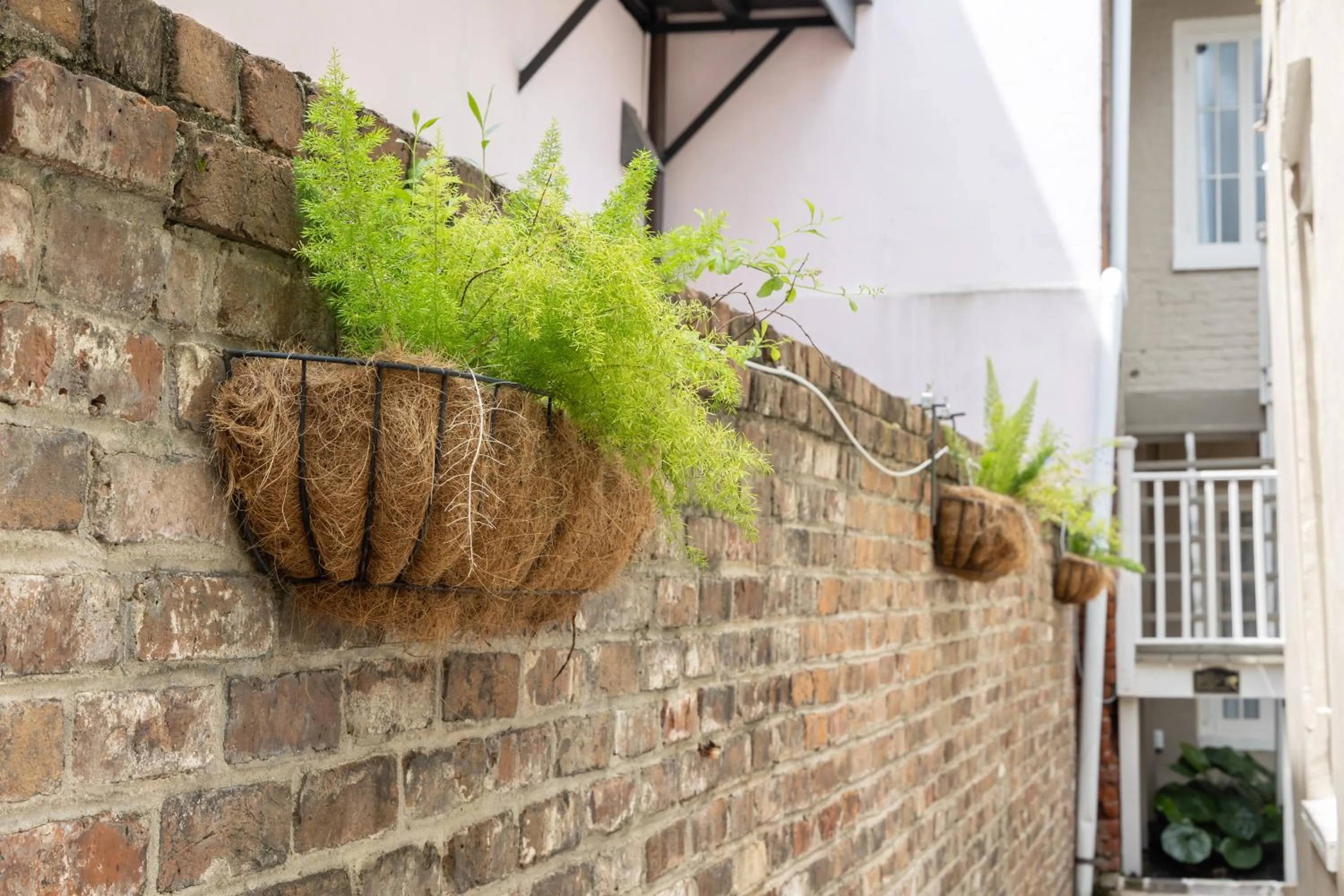Inner courtyard view in Inn on Ursulines, a French Quarter Guest Houses Property