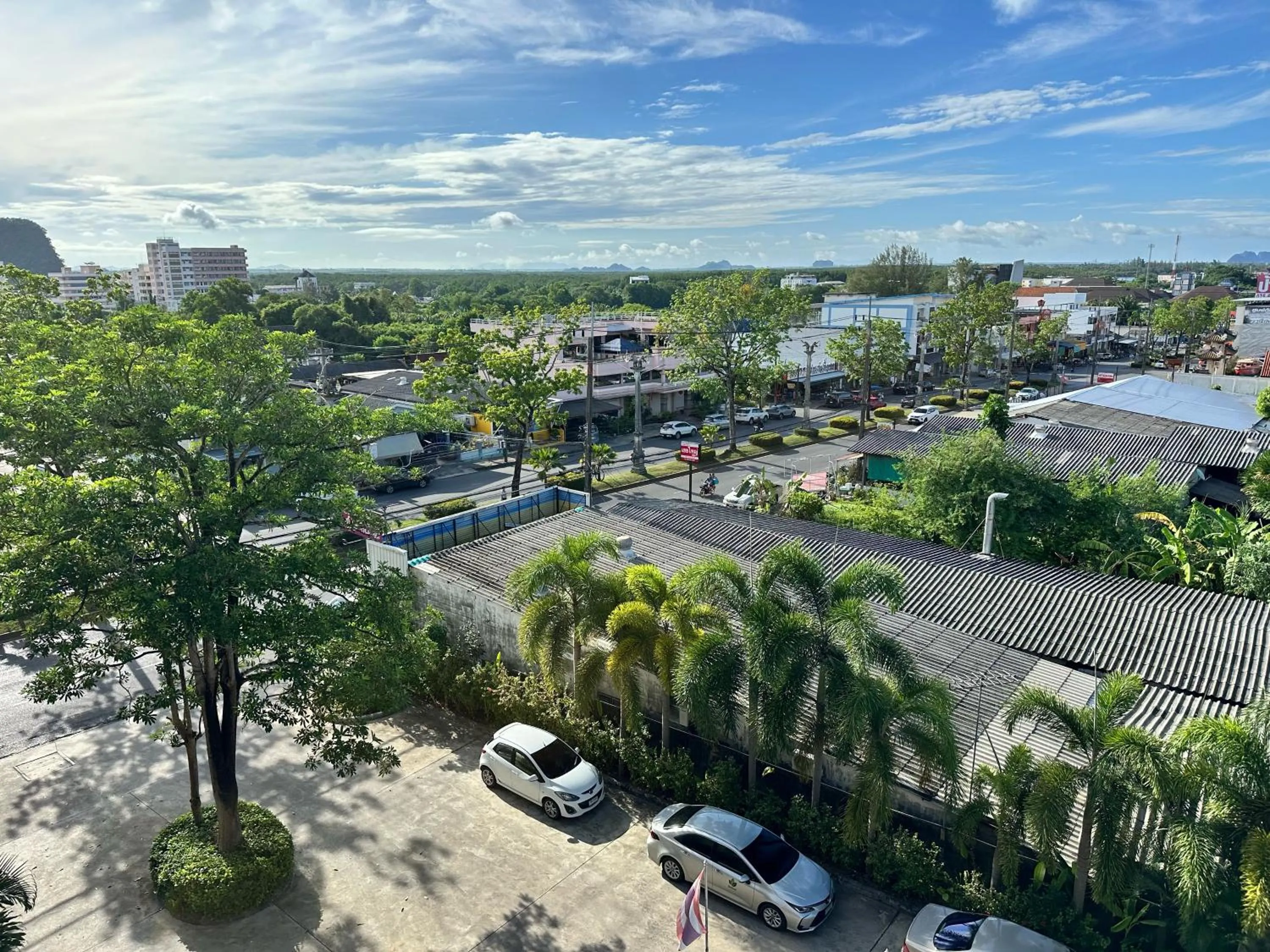 Bird's eye view in ROYAL PINEAPPLE HOTEL l a welcome to wealth and good fortune