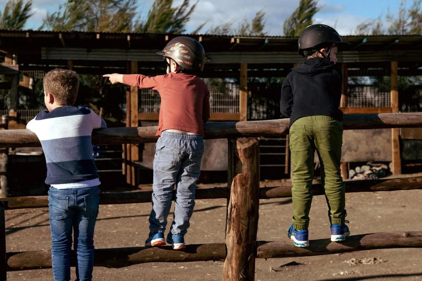 Animals in Hunter Valley Resort, Hunter Farm Adventure Centre & 4 Pines at the Farm
