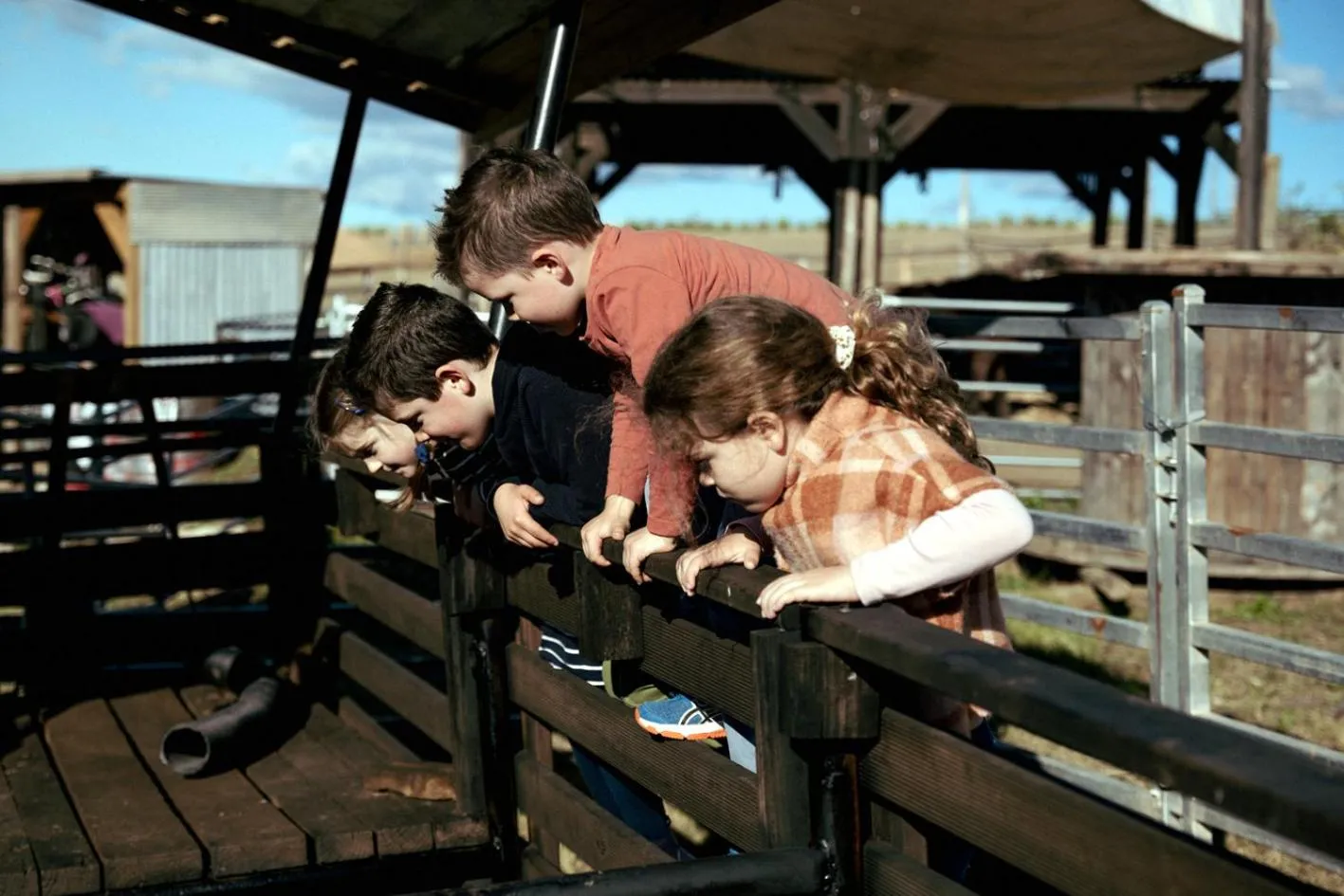 children in Hunter Valley Resort, Hunter Farm Adventure Centre & 4 Pines at the Farm