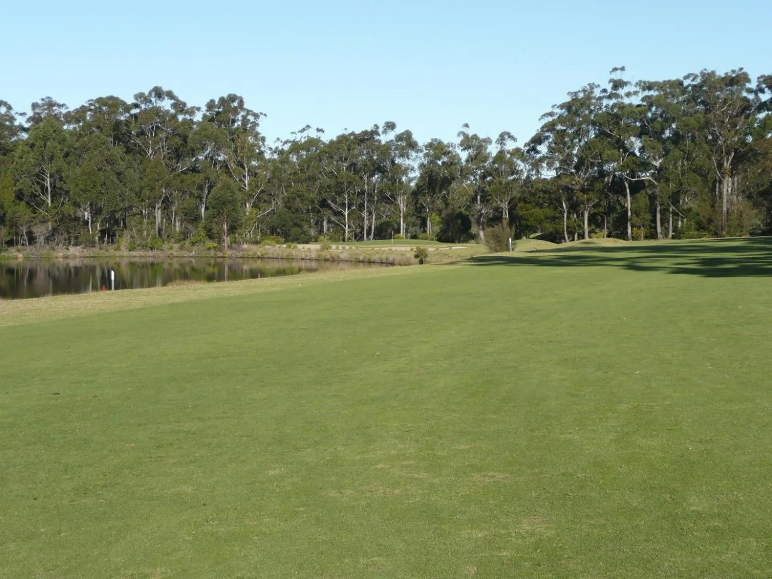 Garden in Idlewilde Town & Country Motor Inn