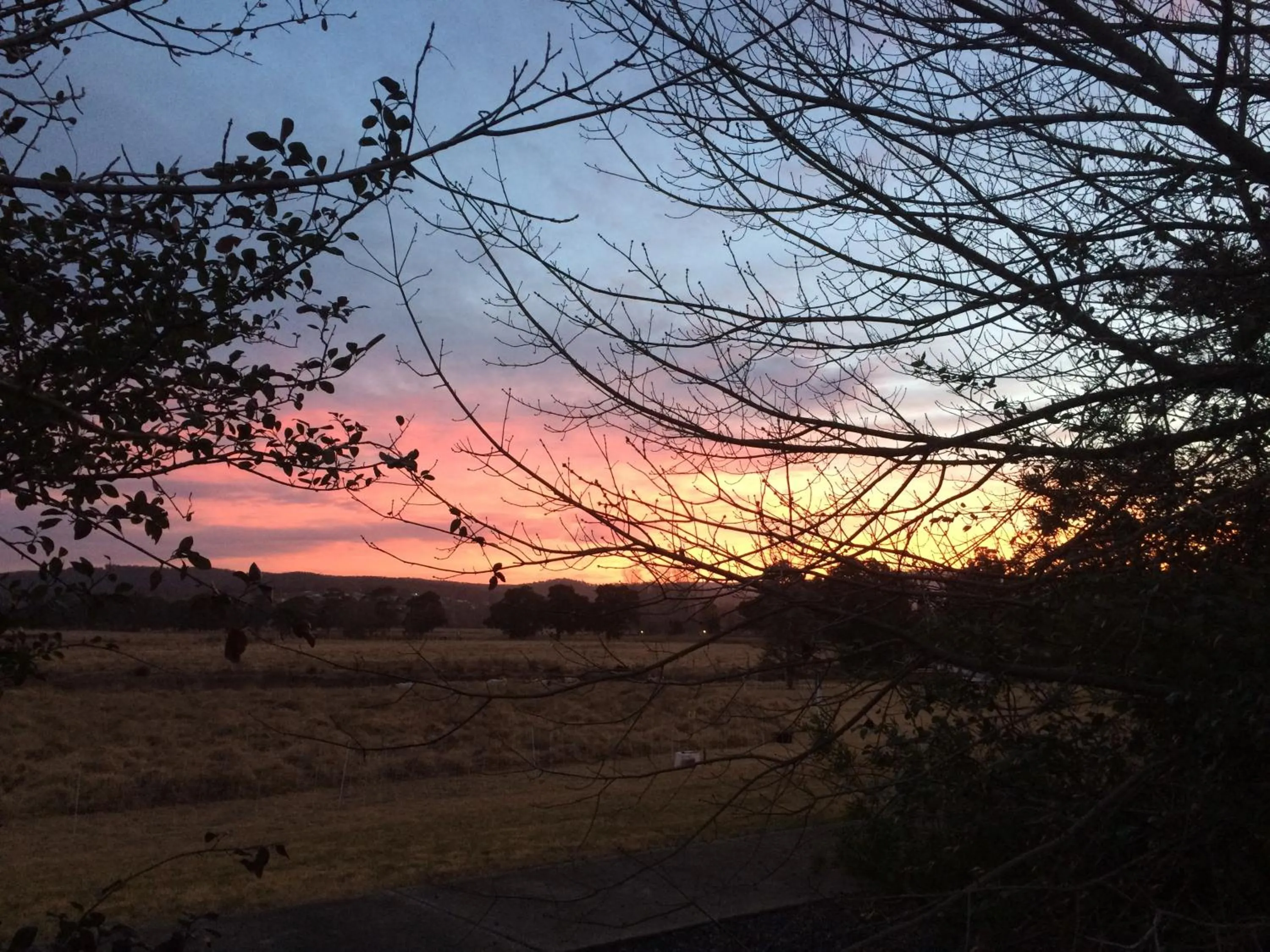 Natural landscape in Idlewilde Town & Country Motor Inn