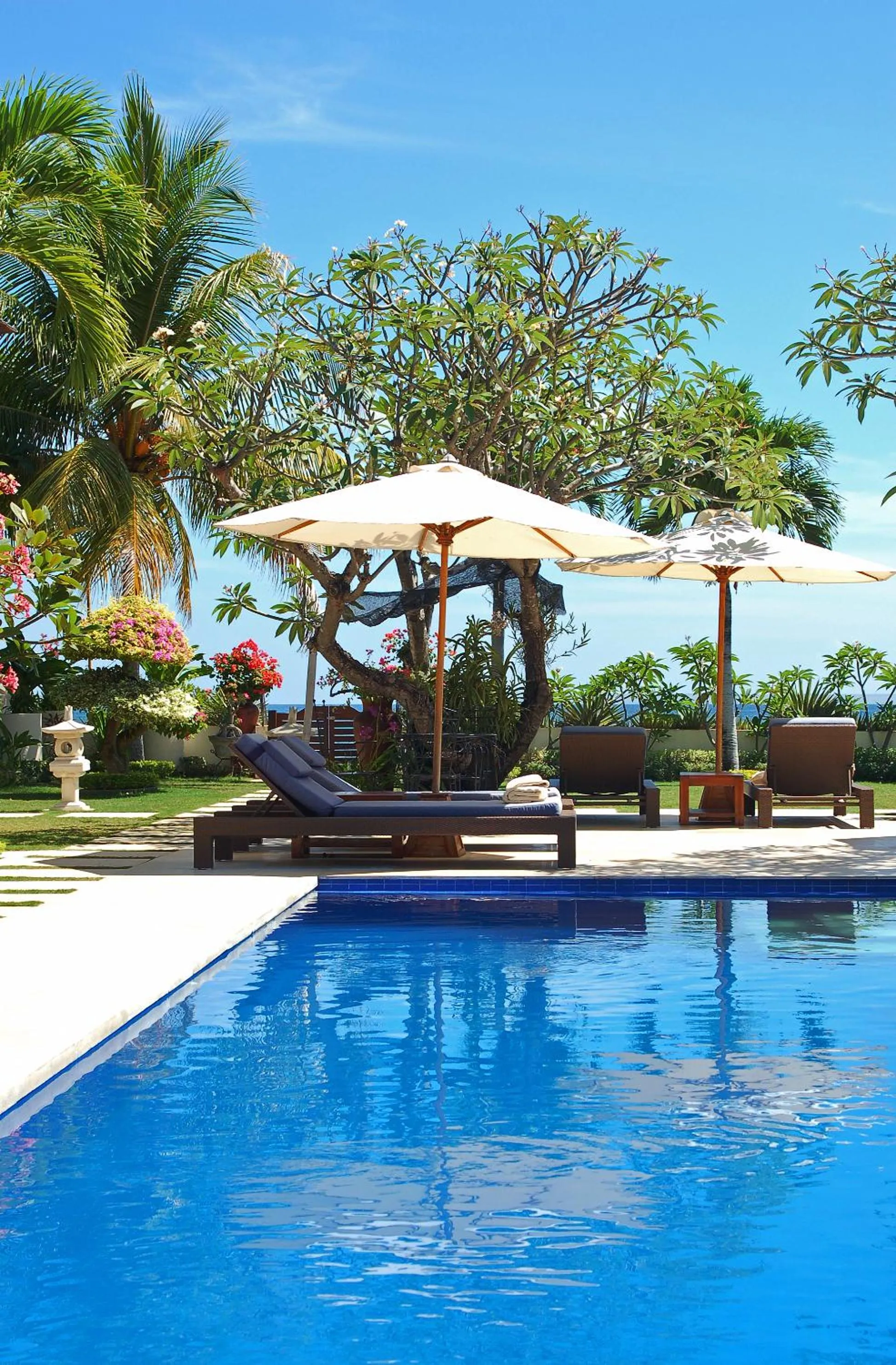 Swimming pool in Frangipani Beach Hotel