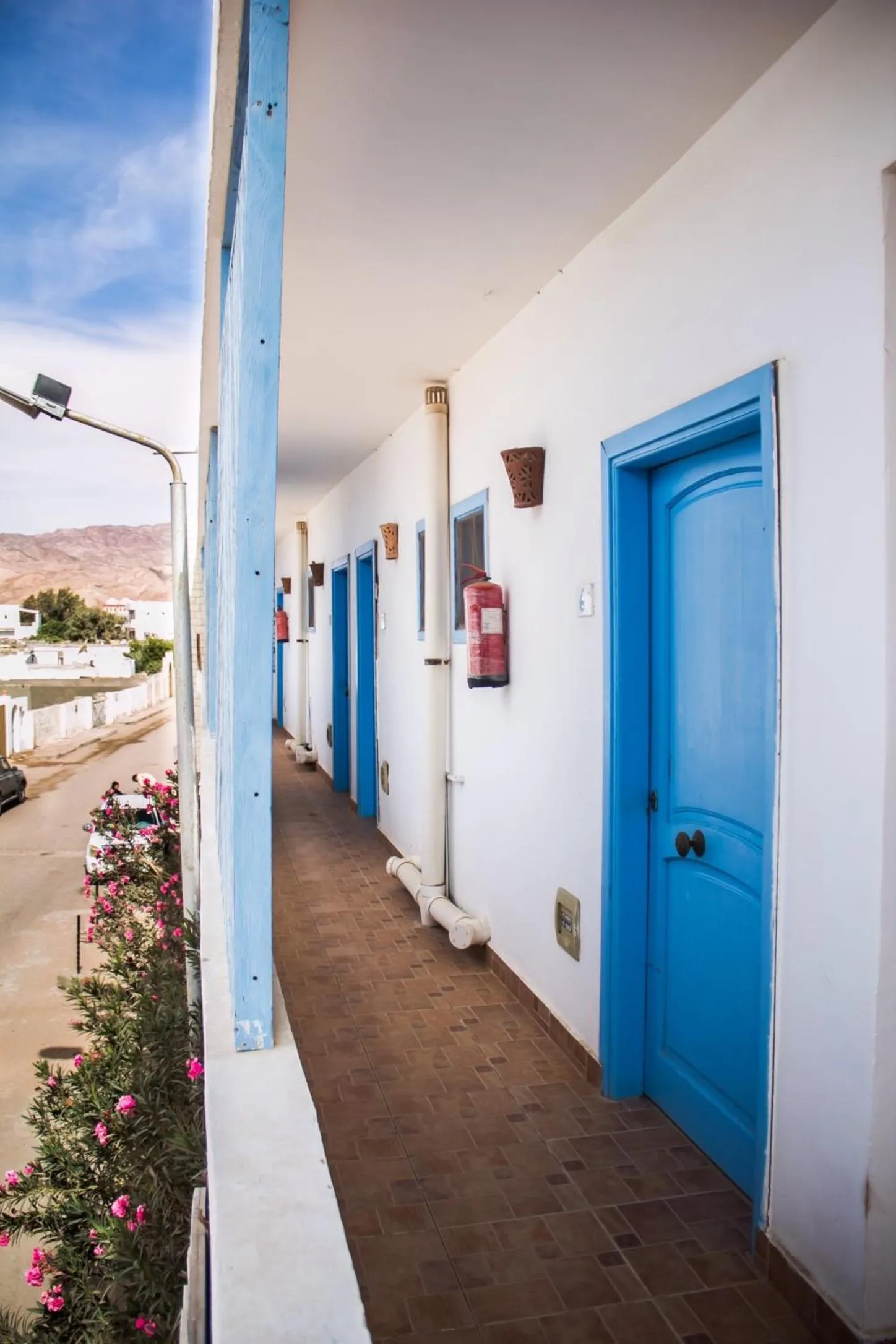 Balcony/Terrace in El Primo Hotel Dahab
