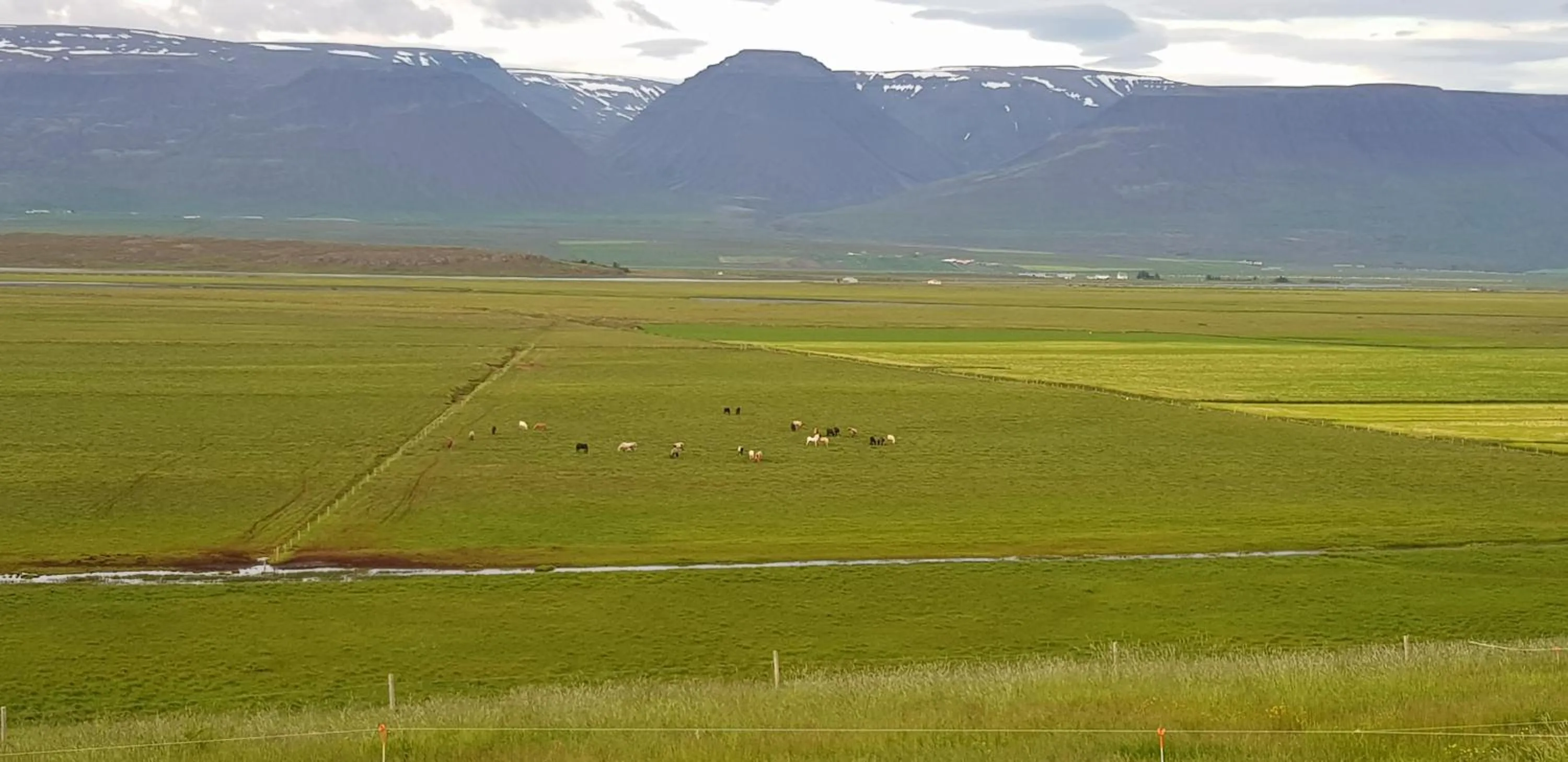 Mountain view in Karuna Guesthouse