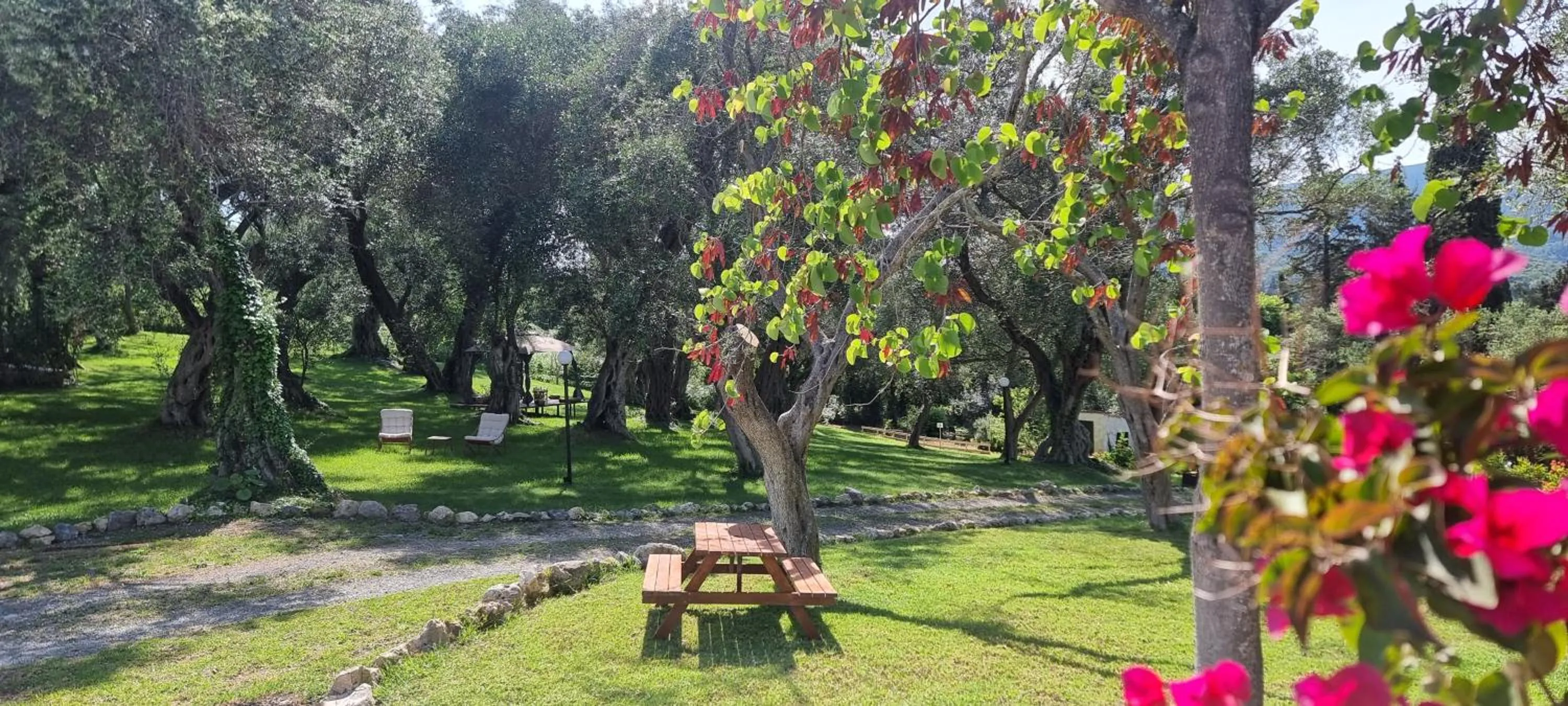 Garden in Hotel Yannis Corfu