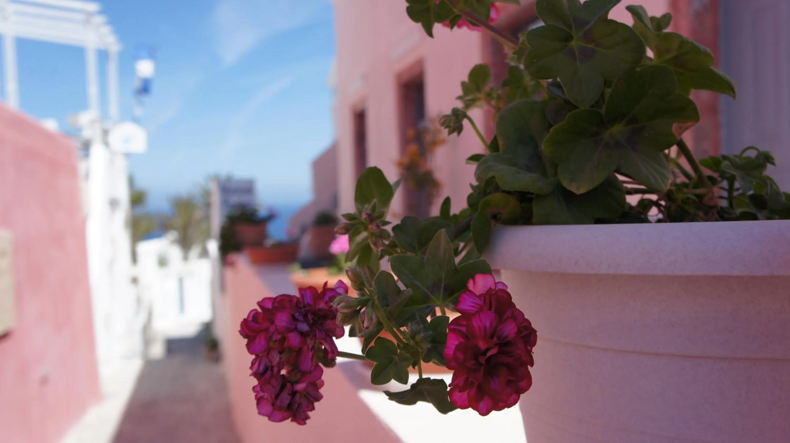 Other in Marcos Rooms