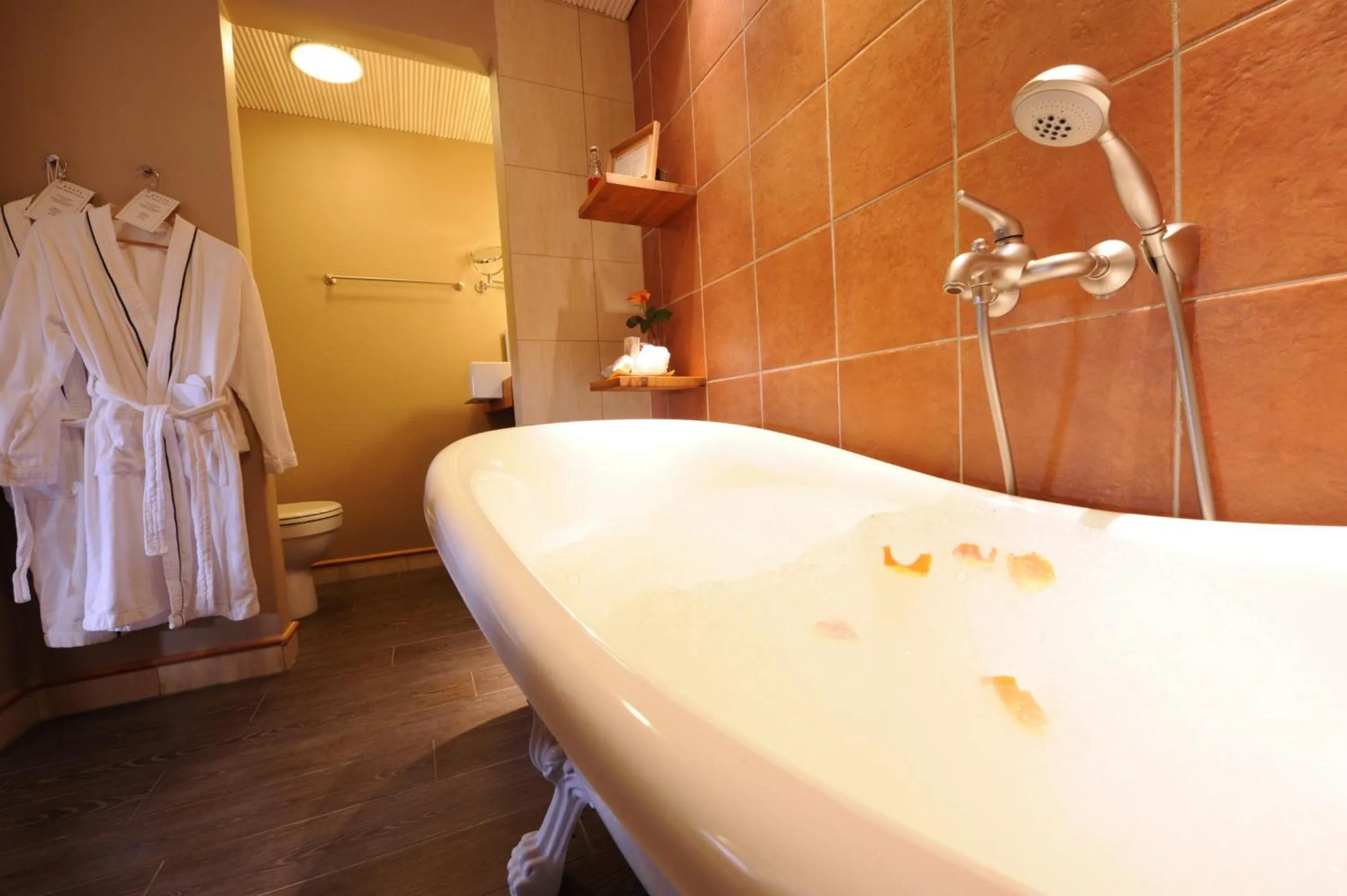 Bathroom in Hotel Krapi