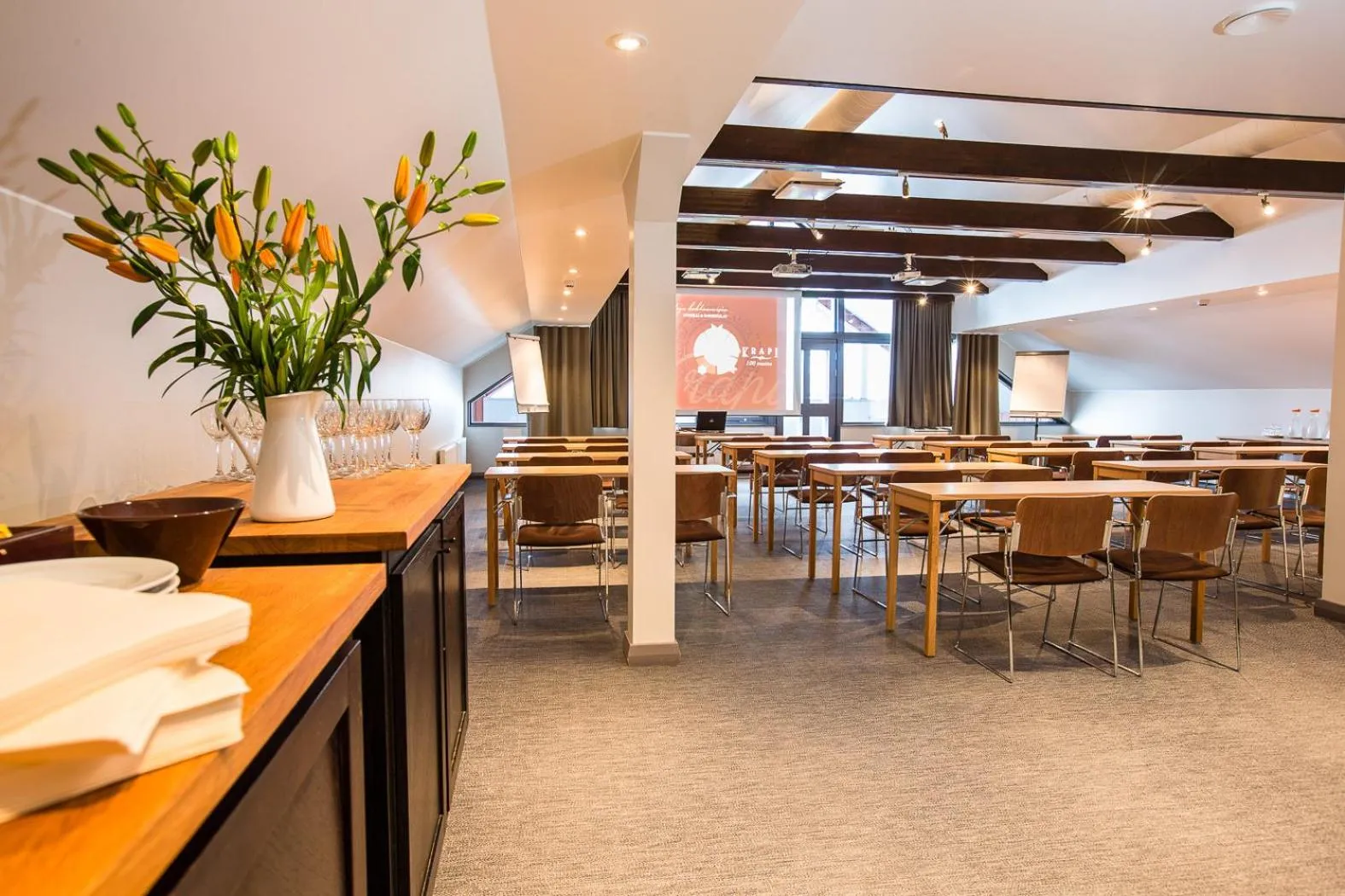 Business facilities in Hotel Krapi