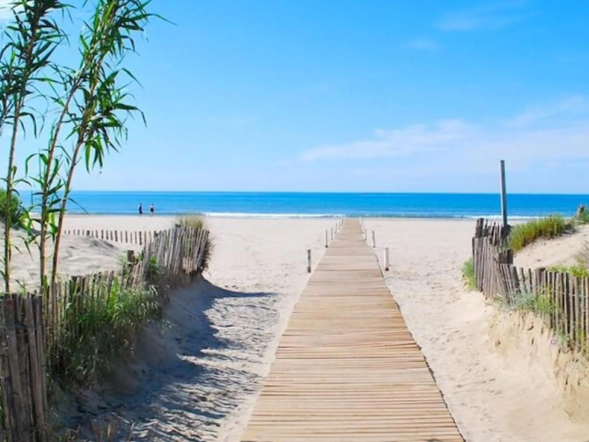 Le Castellas du Pic St Loup