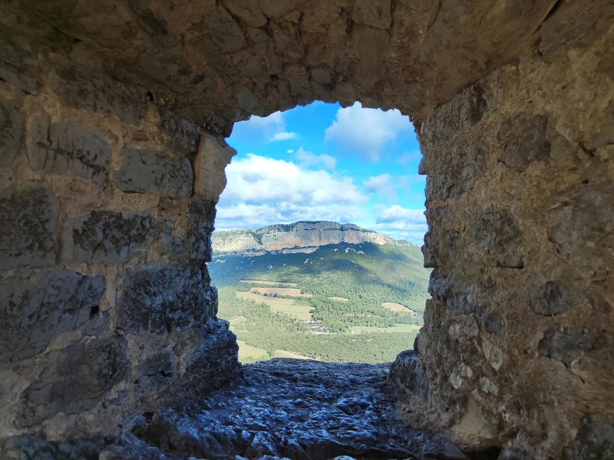 Le Castellas du Pic St Loup