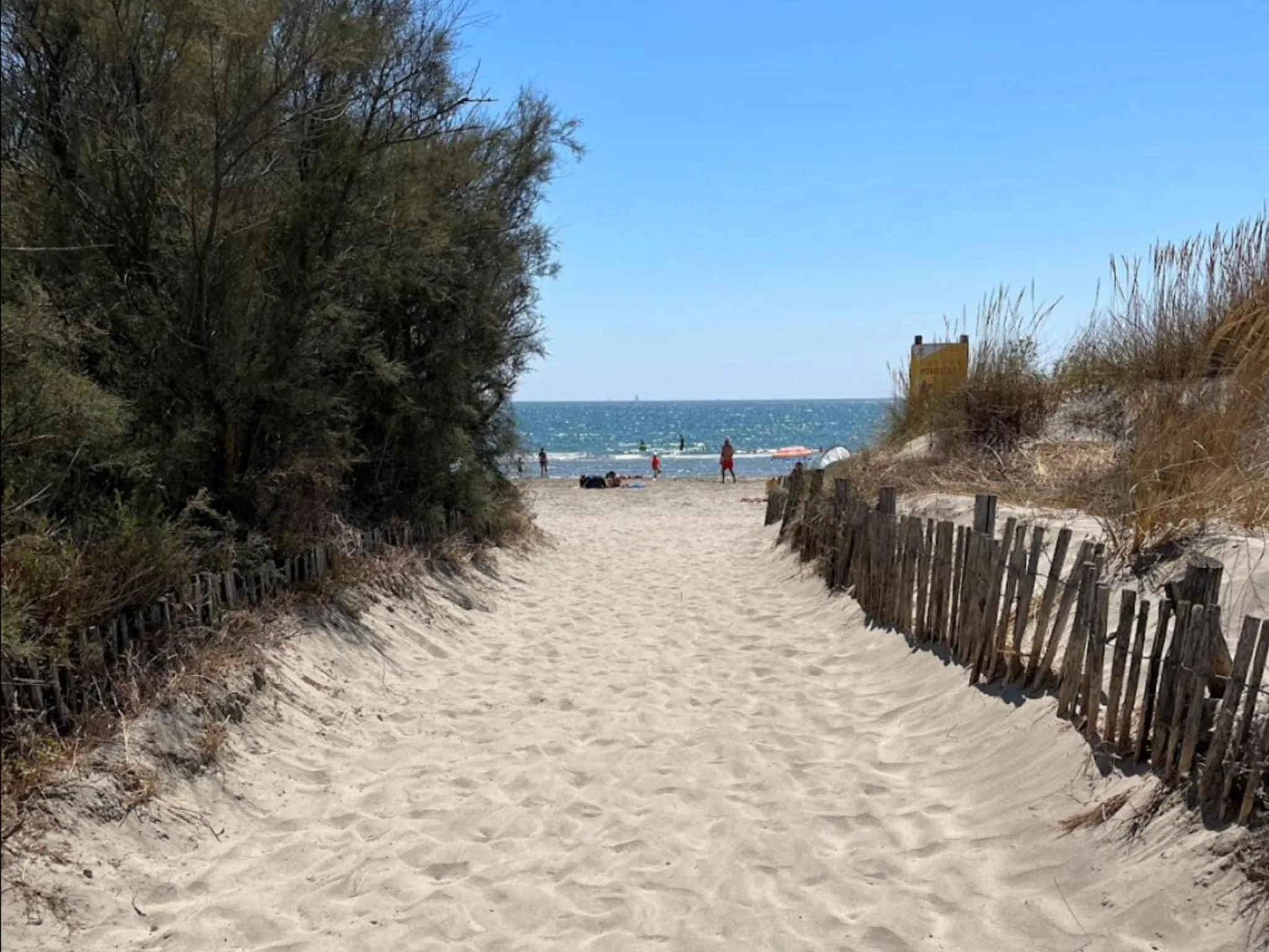 Le Castellas du Pic St Loup