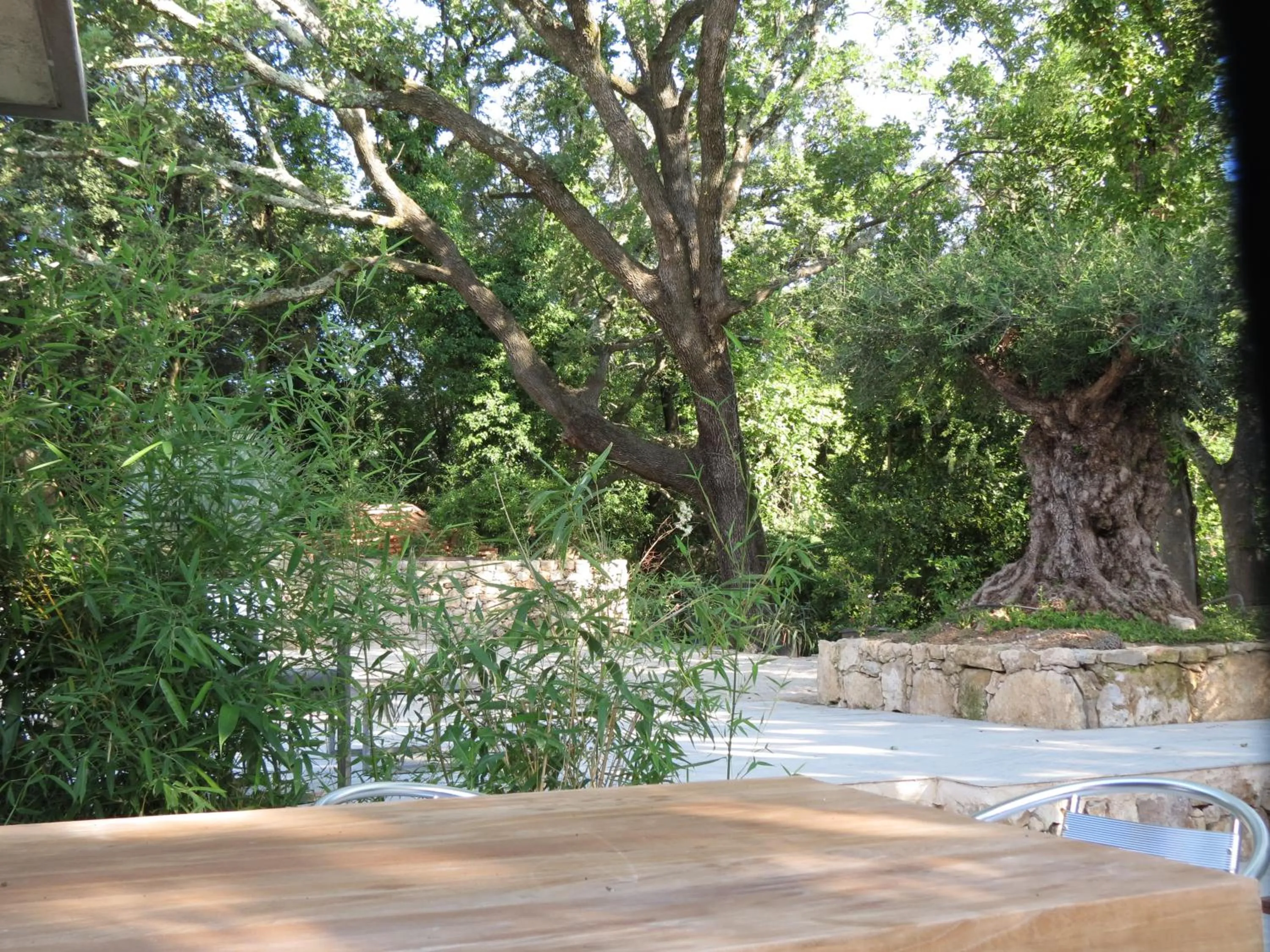 Garden in Le Castellas du Pic St Loup